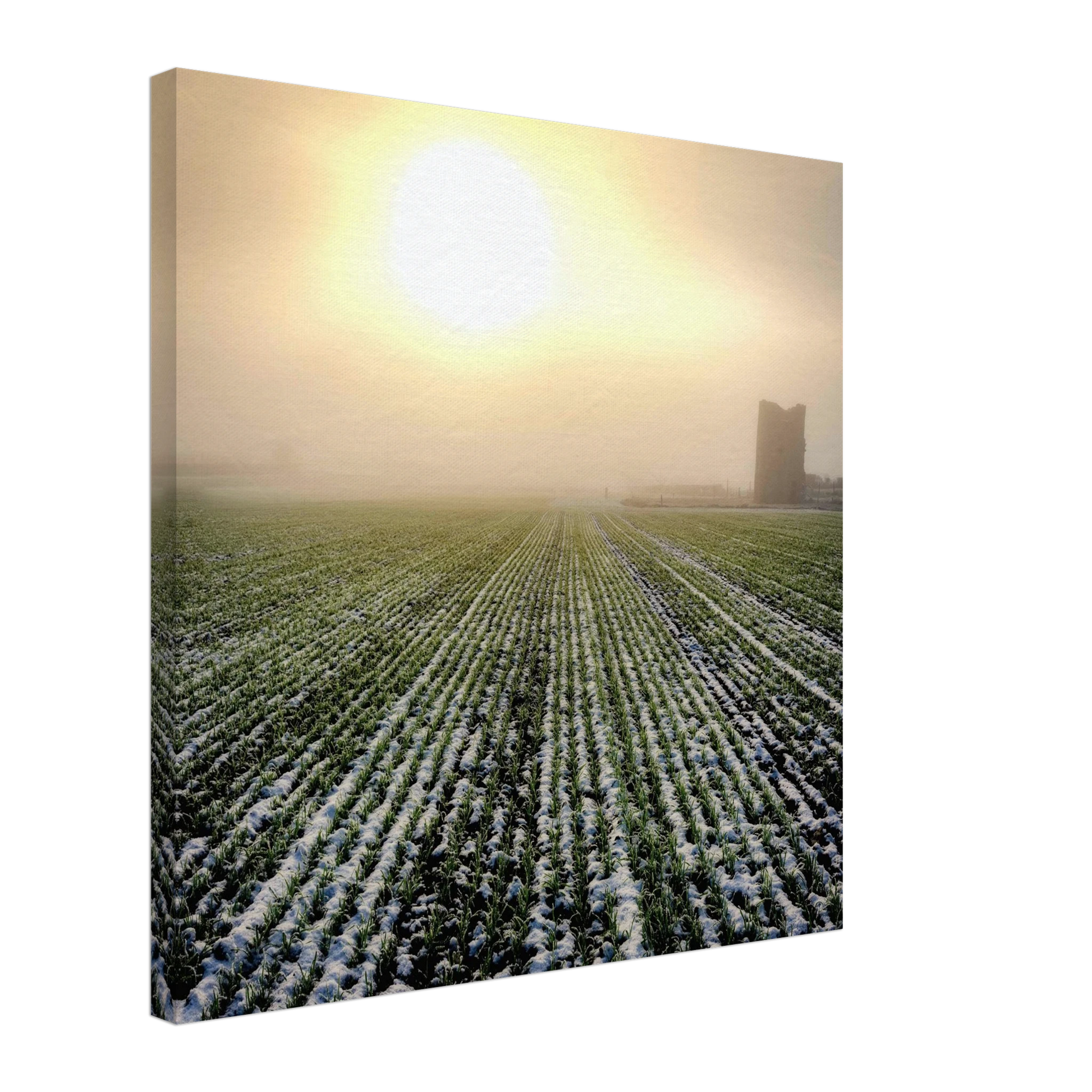 6361aa09-c829-4066-b69d-e5d15abd13d9