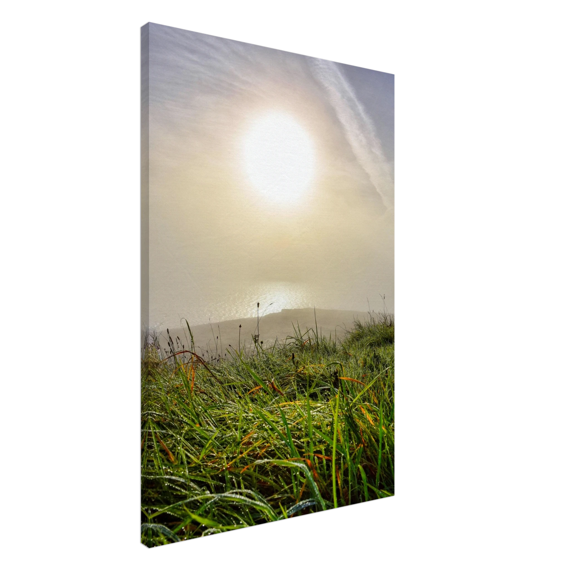 6395109b-fb50-4044-a12c-7ed9bab7be1e