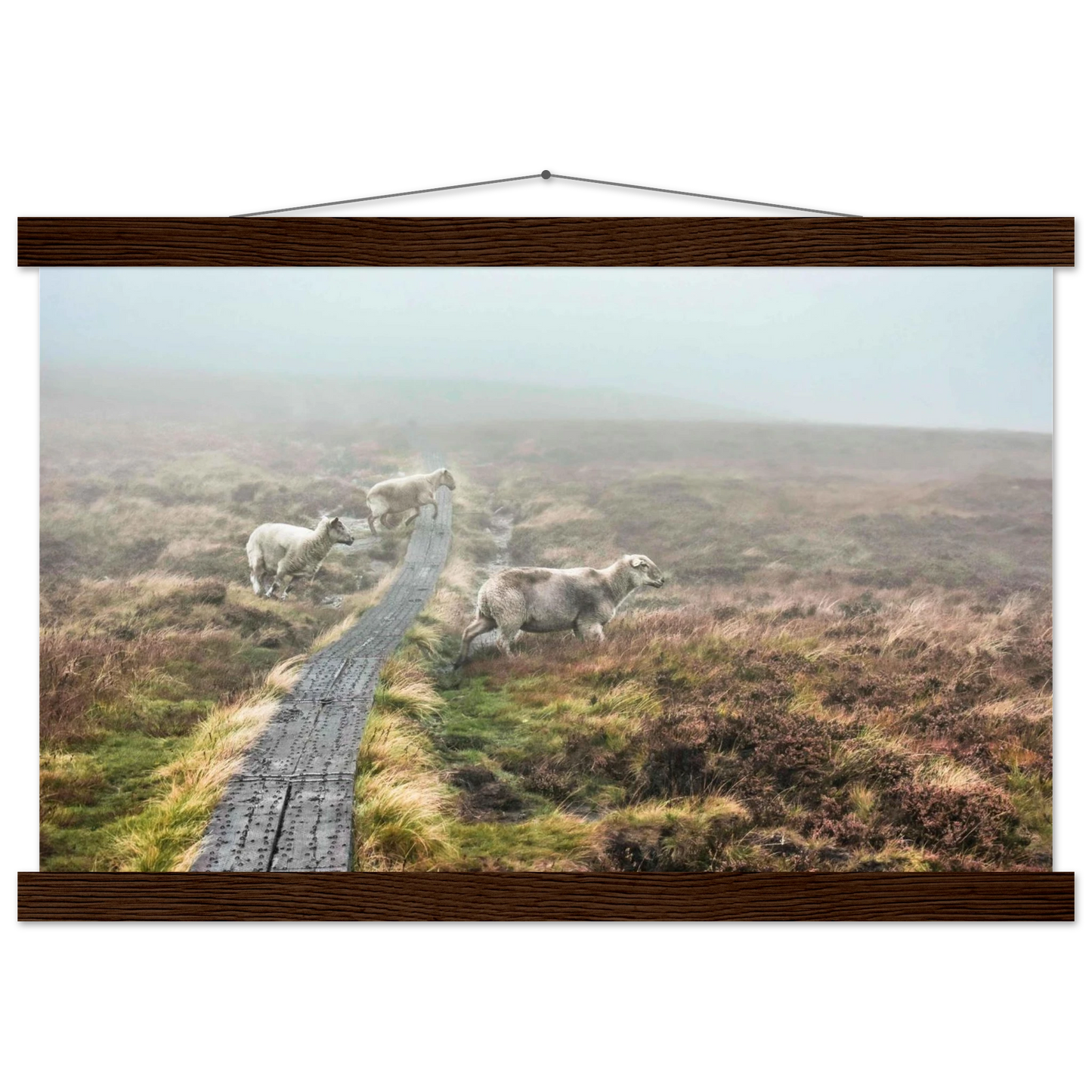 63d6f797-e456-4d03-b3ef-7f9d6f7607d5