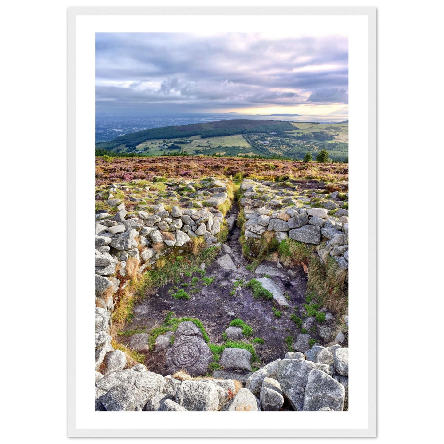 63dafe06-a6a5-43e2-9927-a3c57cbab1b9