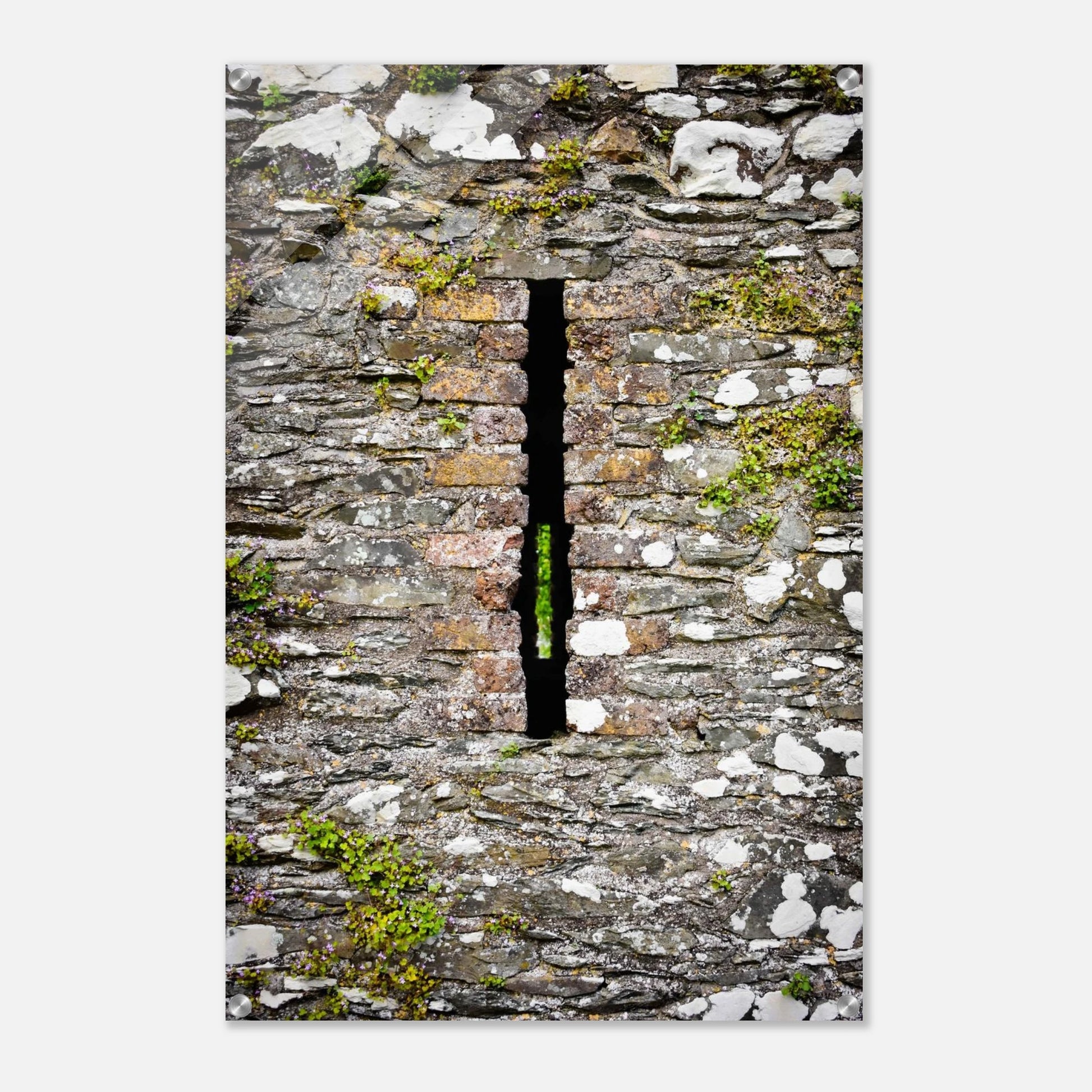 643108b7-819f-400e-935f-2e2009c27151