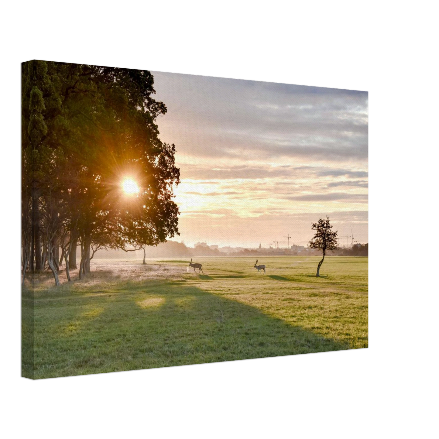 64c2a953-4c63-4ceb-8227-15fd5c389a9d