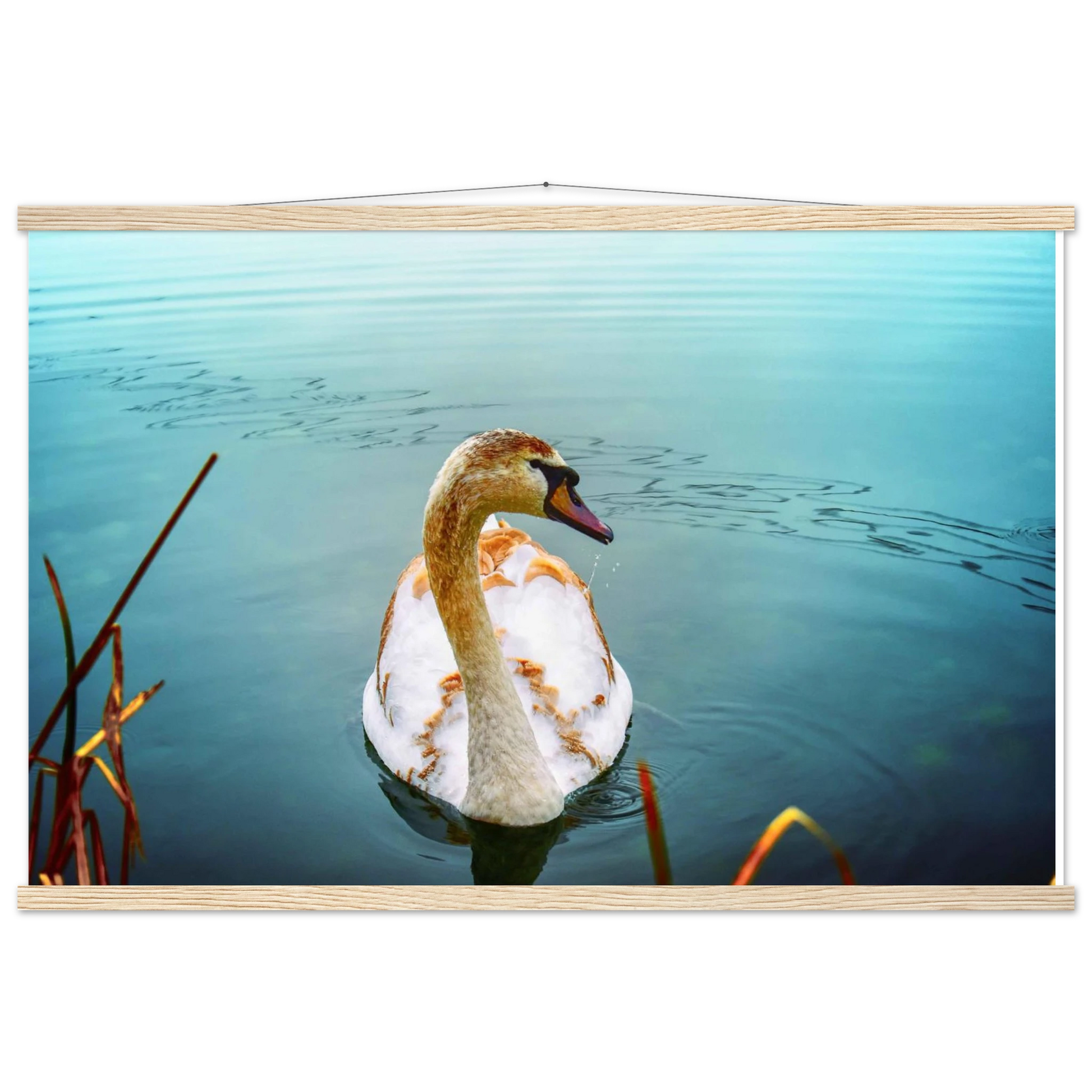 650c5947-bf3d-46f7-9ddf-bd87b051c9d7