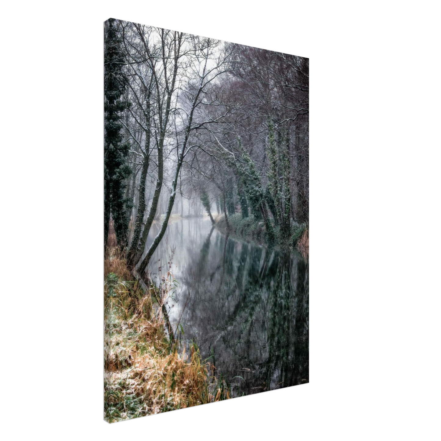 657de5c8-b71a-4374-9290-f18e75abd900