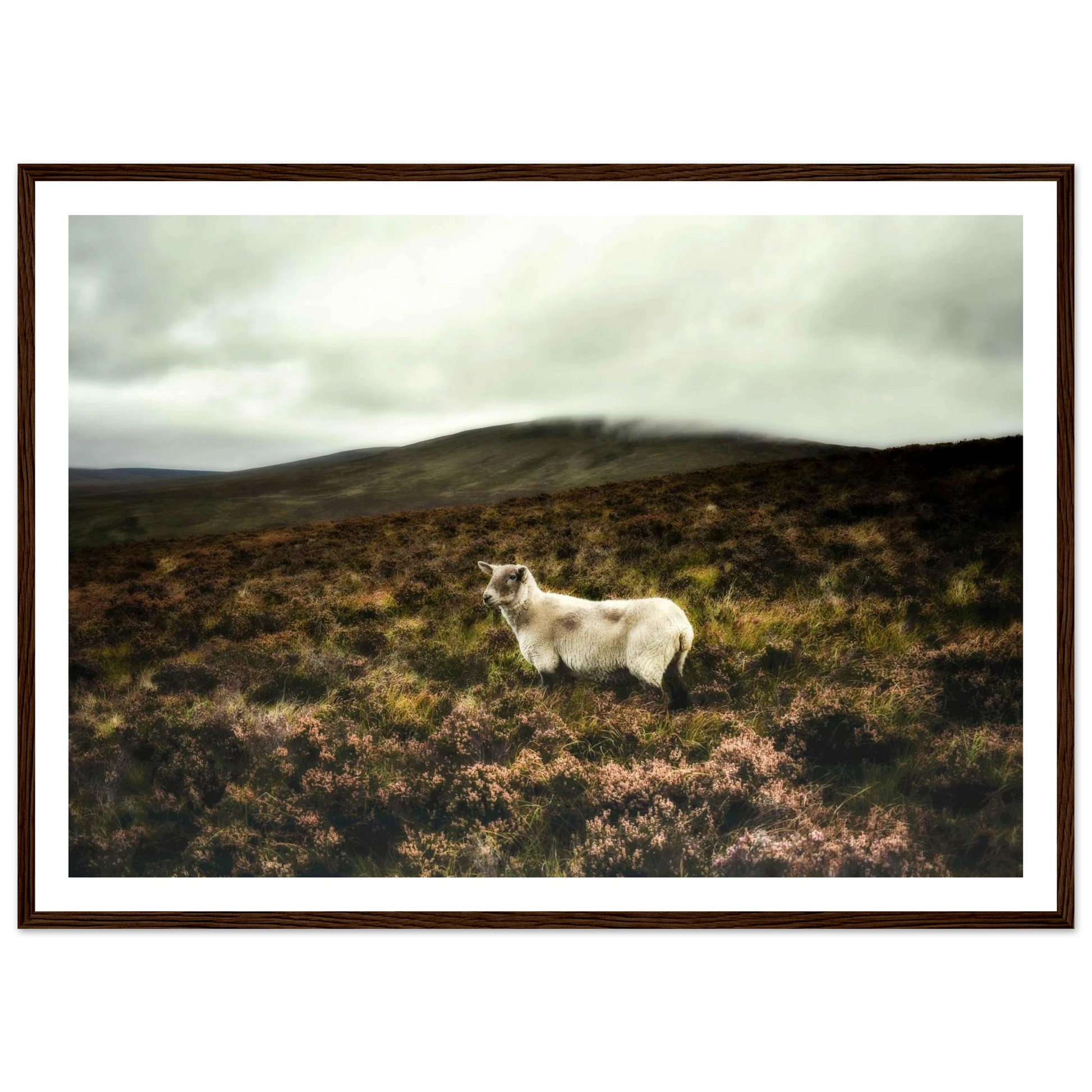 65899f9b-d10e-4c65-aefe-dcf8d6aea2c4