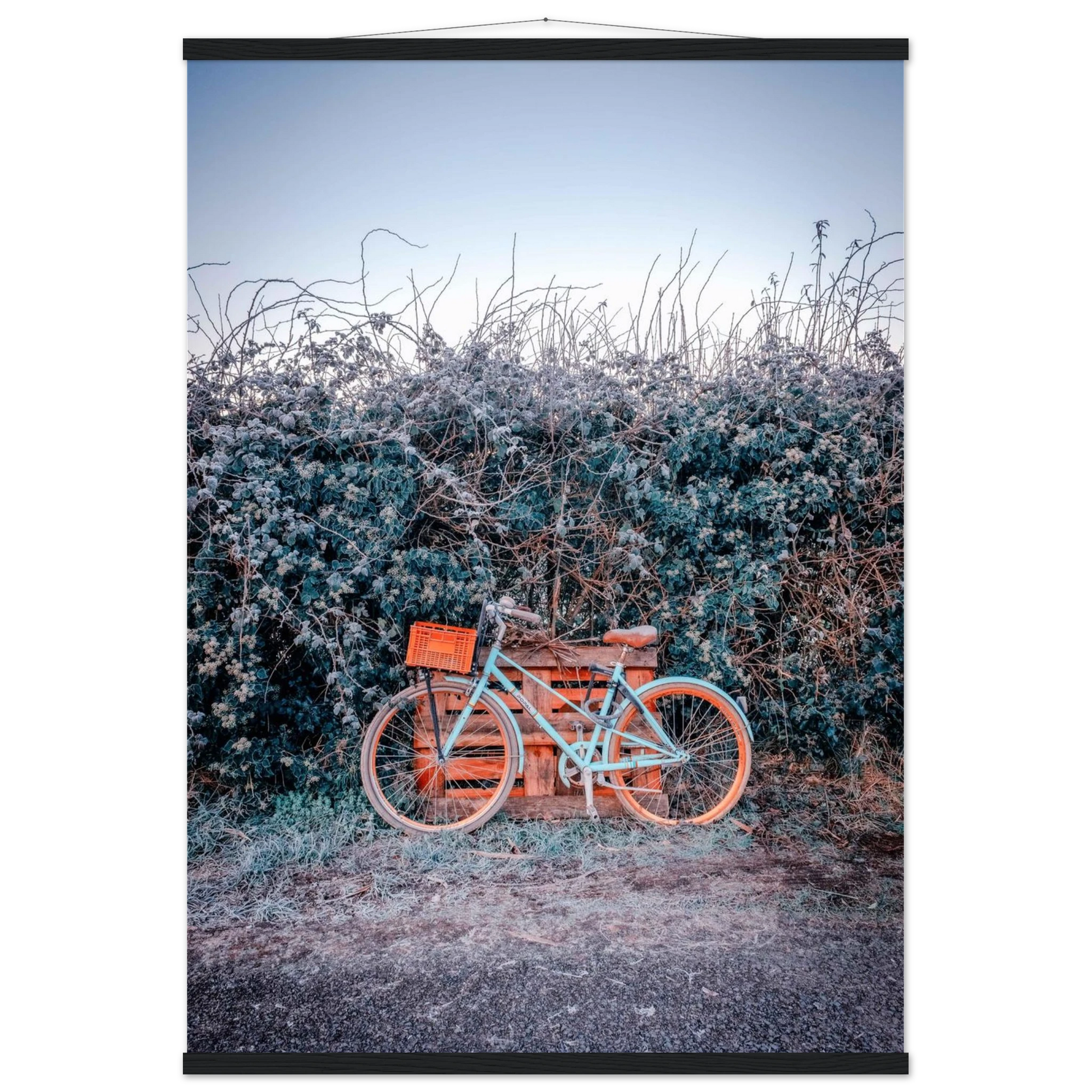 65d3c1e8-31c3-4617-a6fc-8d178d2c0faf