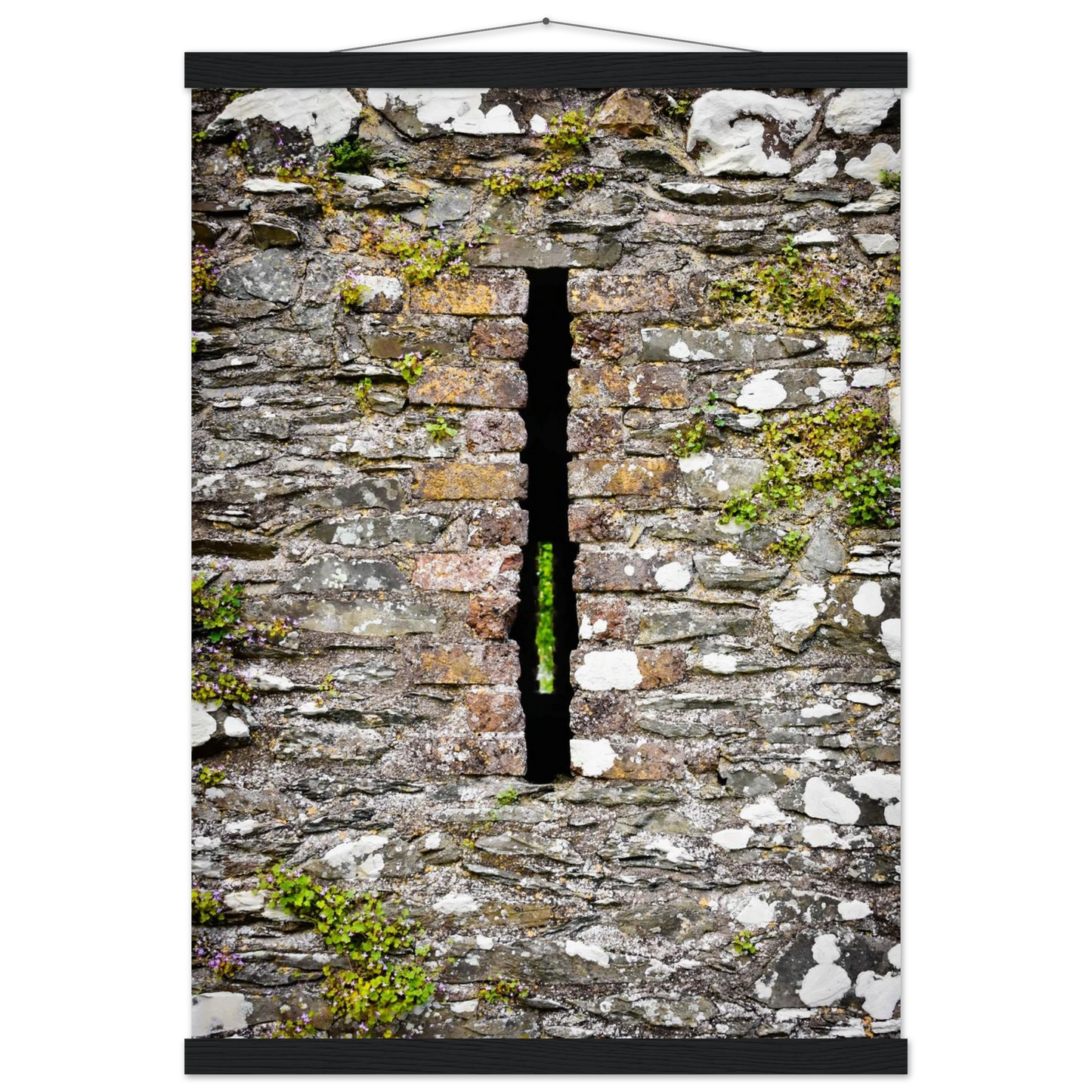 664991f8-3bb7-479e-997d-03f8d56cbc45