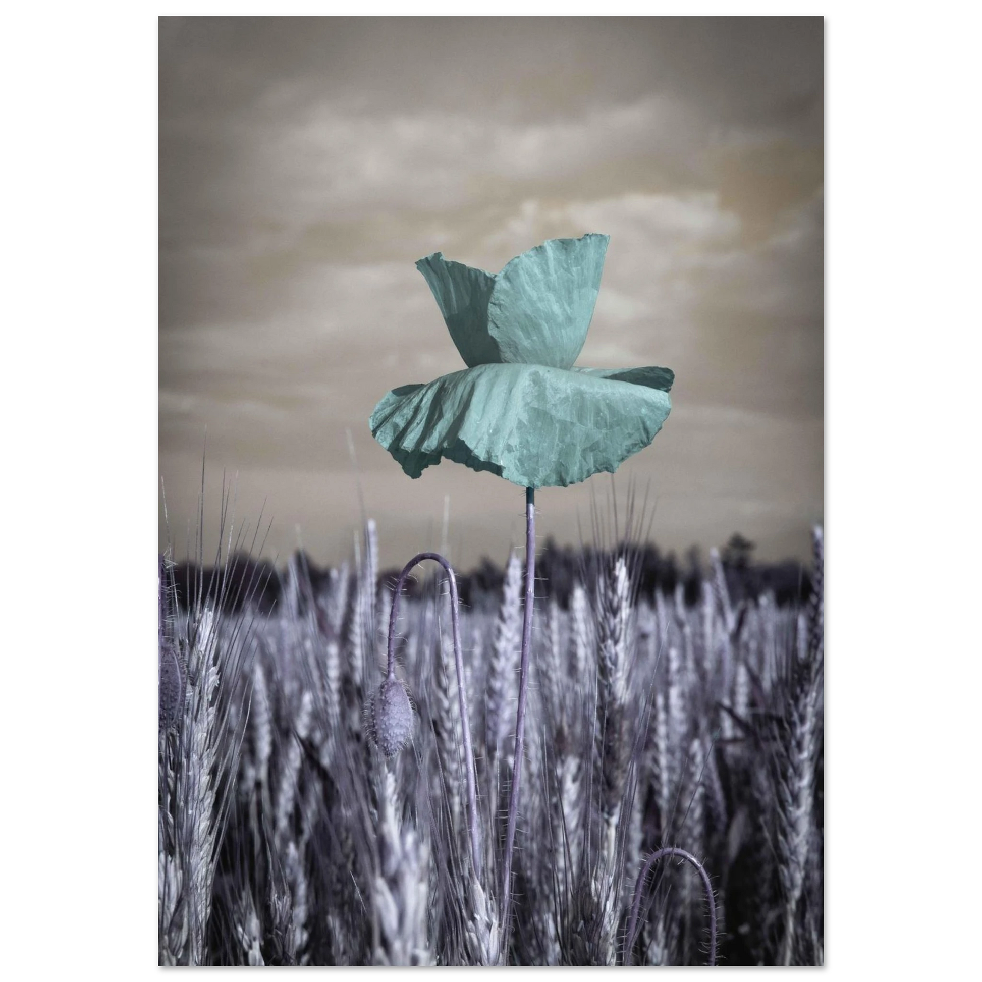 66741b0d-b665-4c9d-a030-c3767b73296d