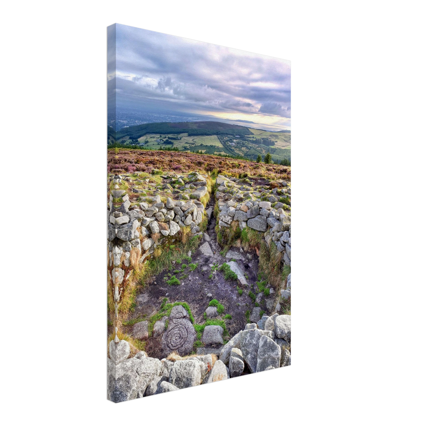 66811952-146e-49c2-87f0-99ef5ea202fb