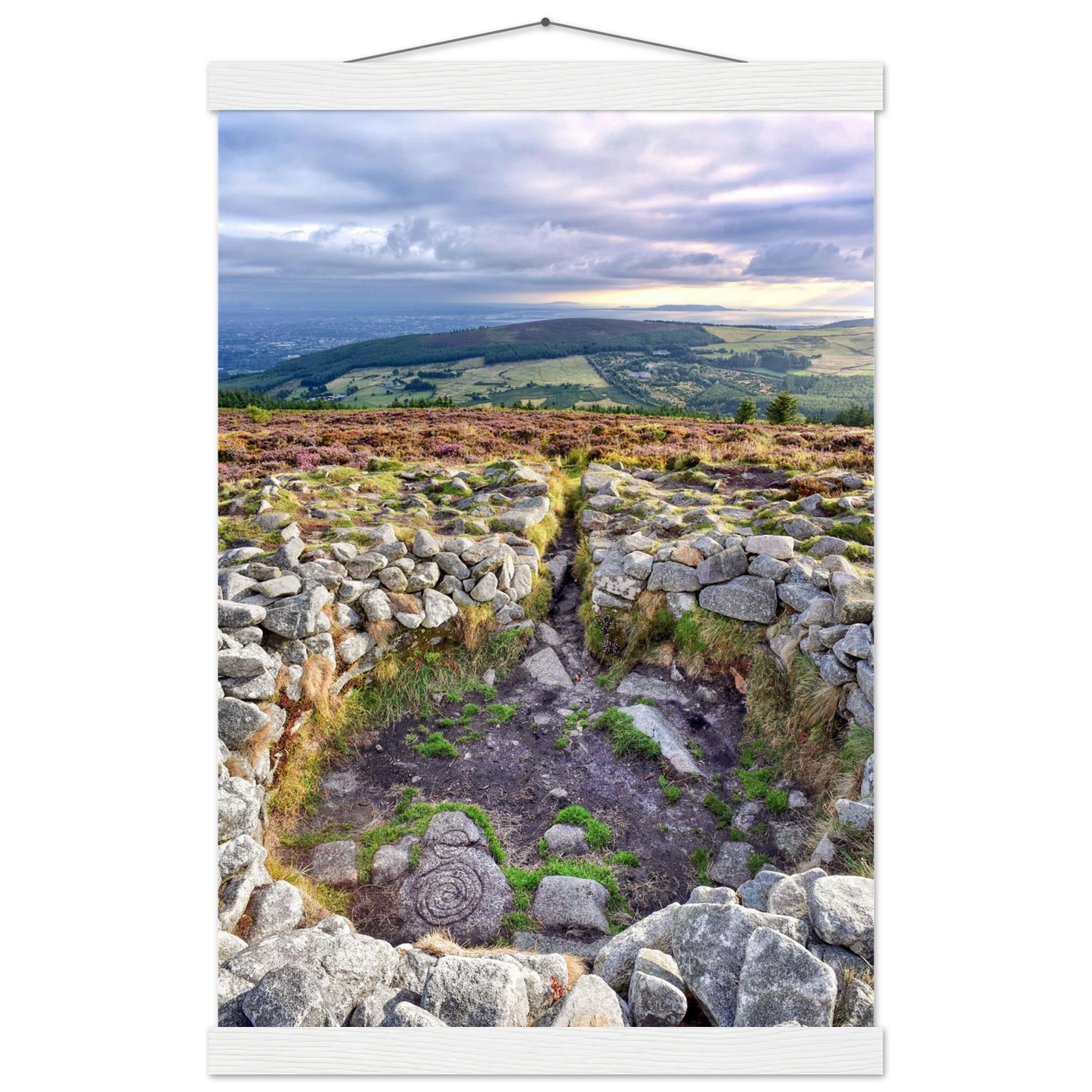 668cfad2-56dd-40a4-95fa-5e301fc81b13