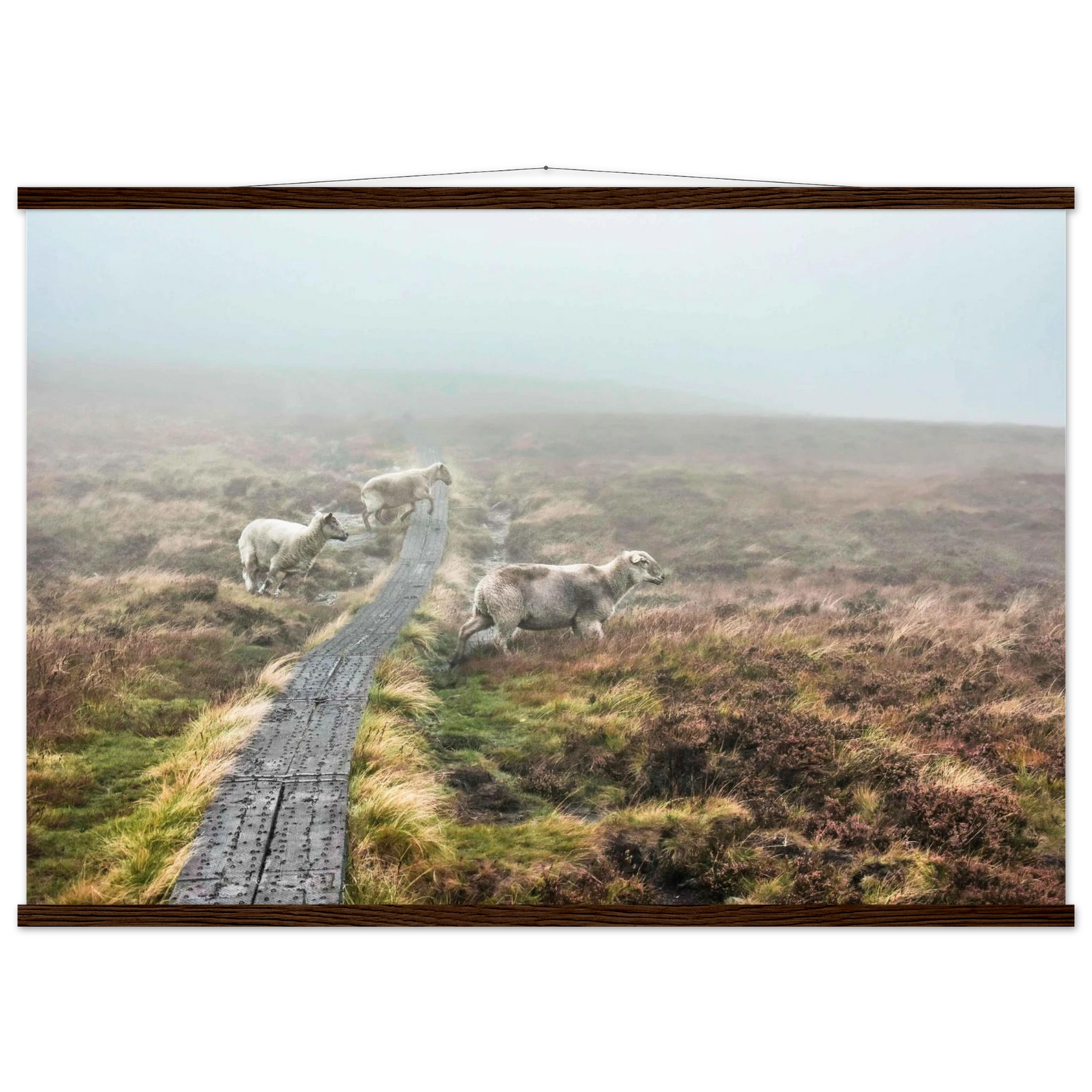 67390ba8-336c-448d-9add-7e084666be76