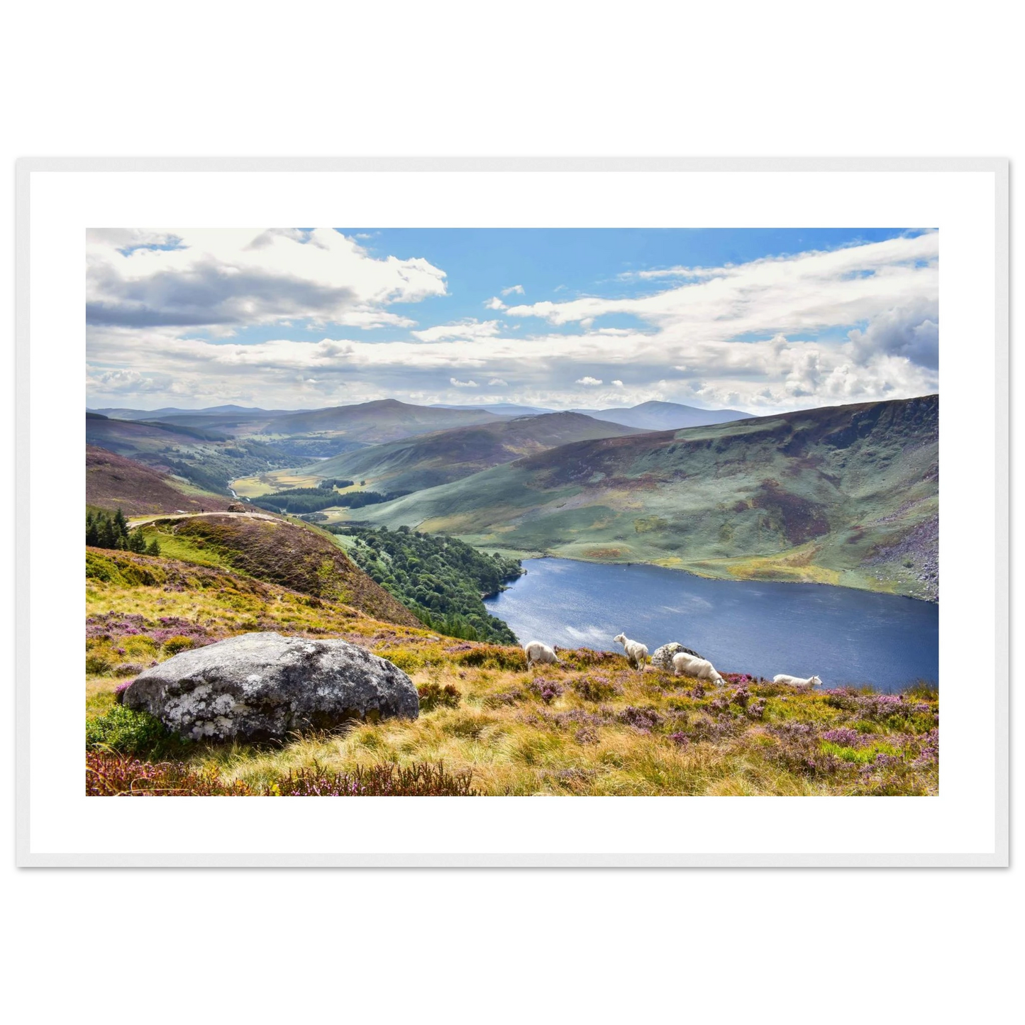 681b66dd-cf90-4580-8a1a-819e5b422c14