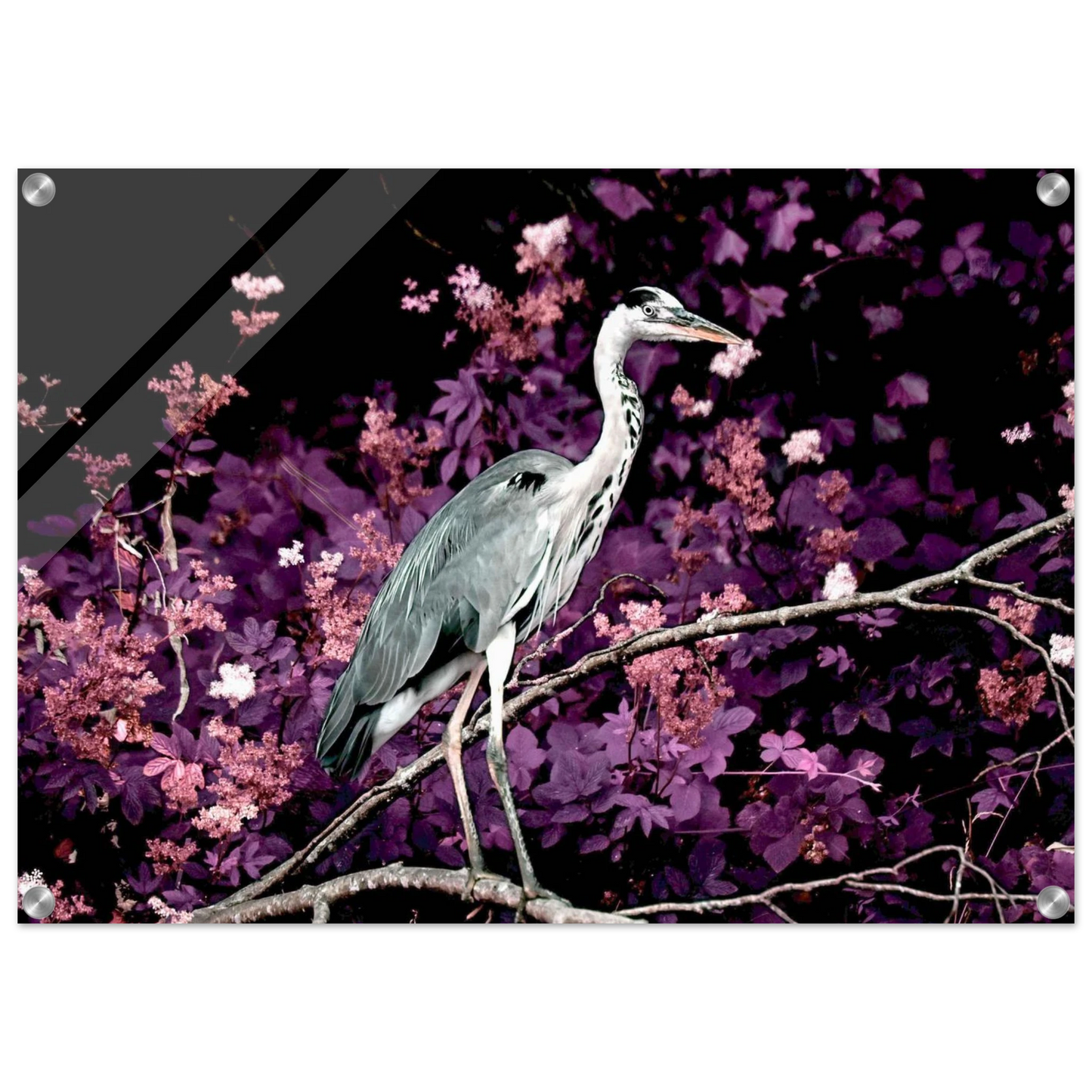 688a61a2-a9e2-43b4-a338-a7cd68802b18