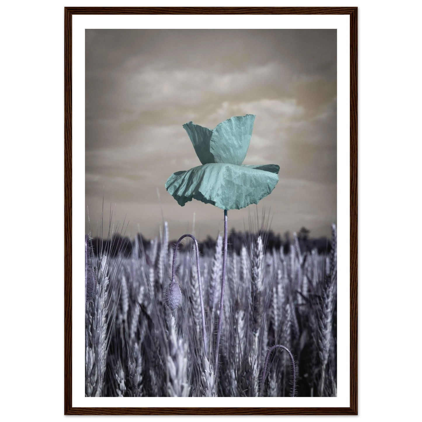 68cc5239-8788-4252-b9be-94b8df08dfa5