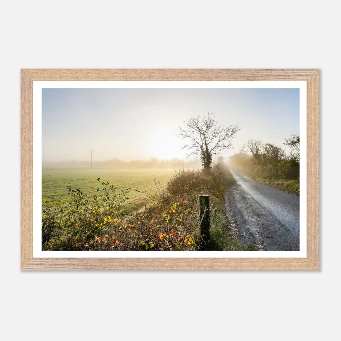 68de3a8e-c82d-4cef-8ffa-9e66886a96c9