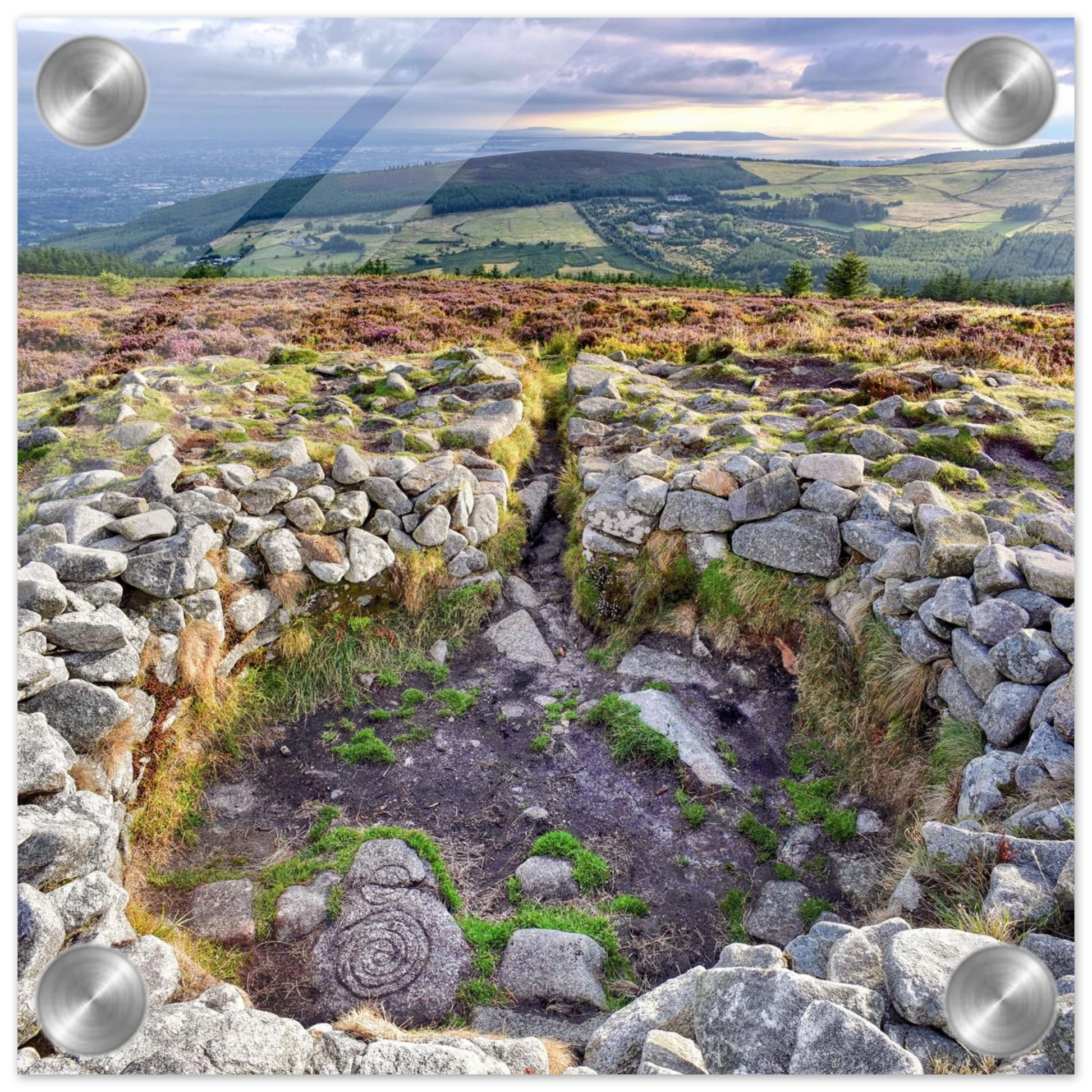 692179b8-77f0-45d9-afad-33832b49992a