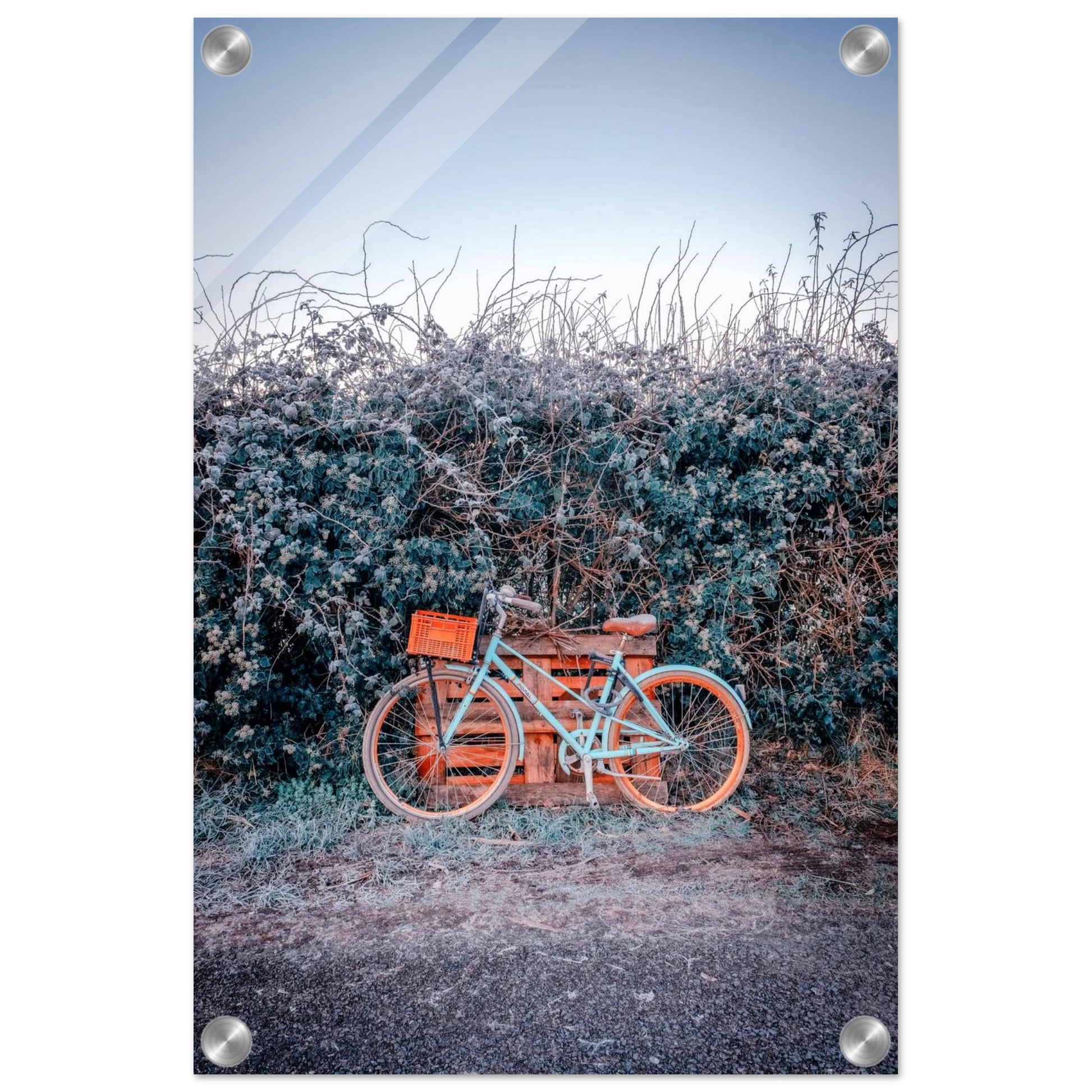 6931b510-94ef-45aa-a6d2-e8faa1a86f8d