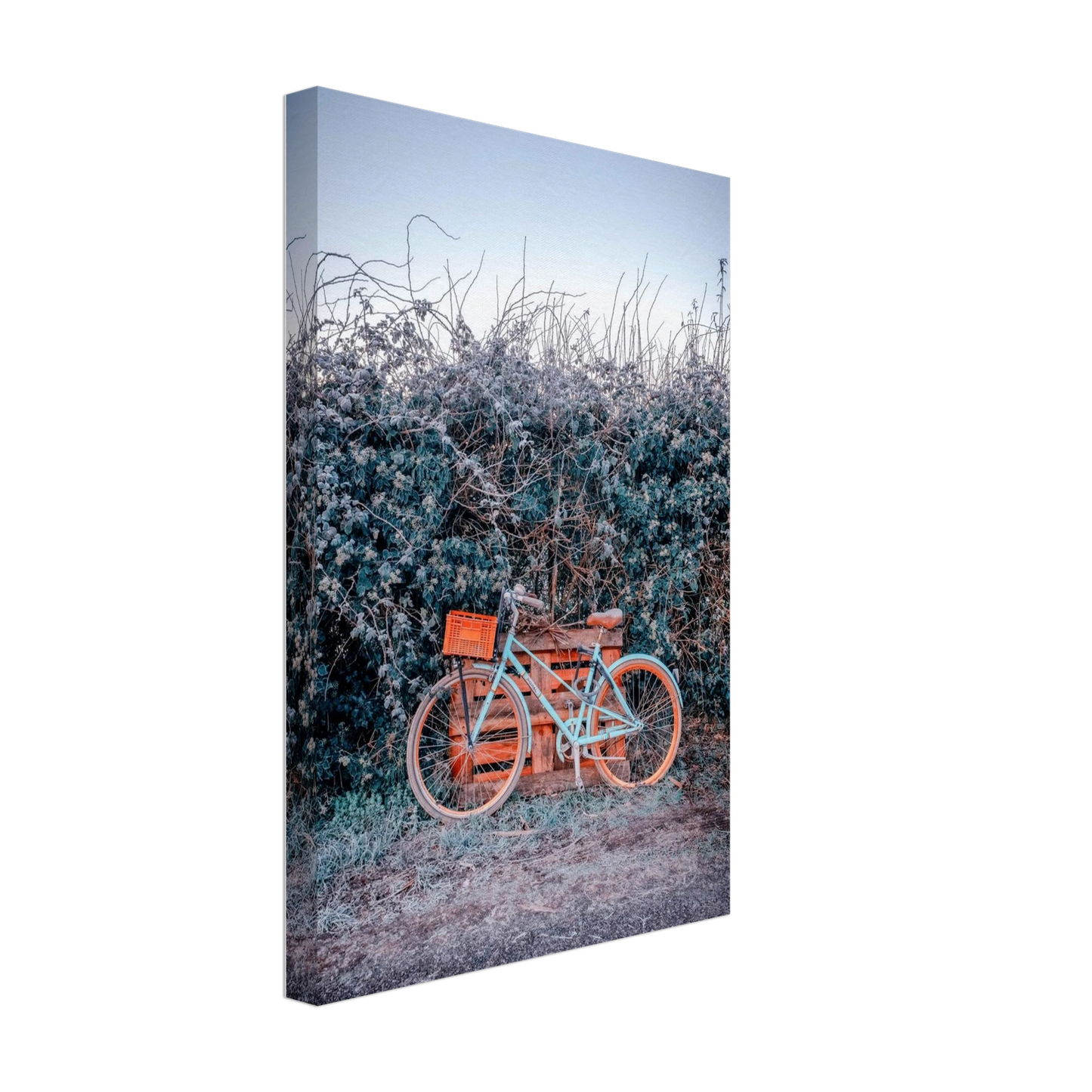 697f278c-1aeb-494c-9cfa-9180319c22a1