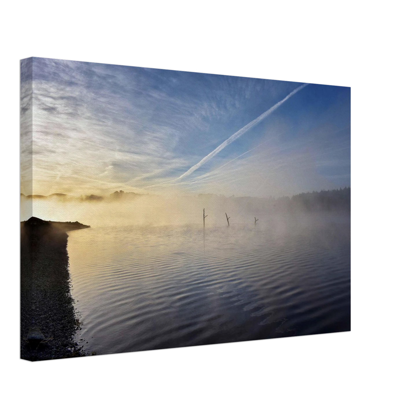 69d0f959-a419-46cb-b159-f72fee624836