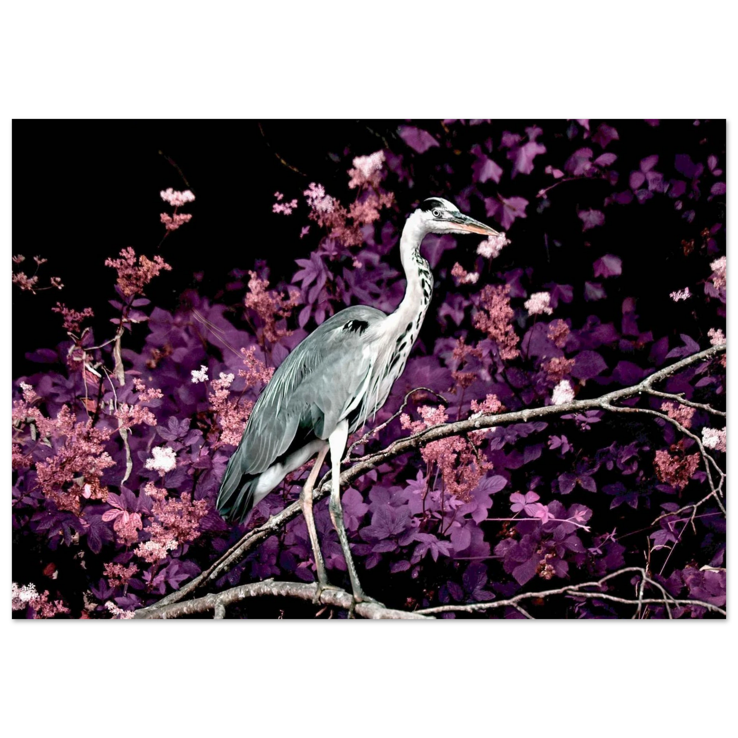 69e0babd-cfcc-4519-97c3-40080bc23bcb