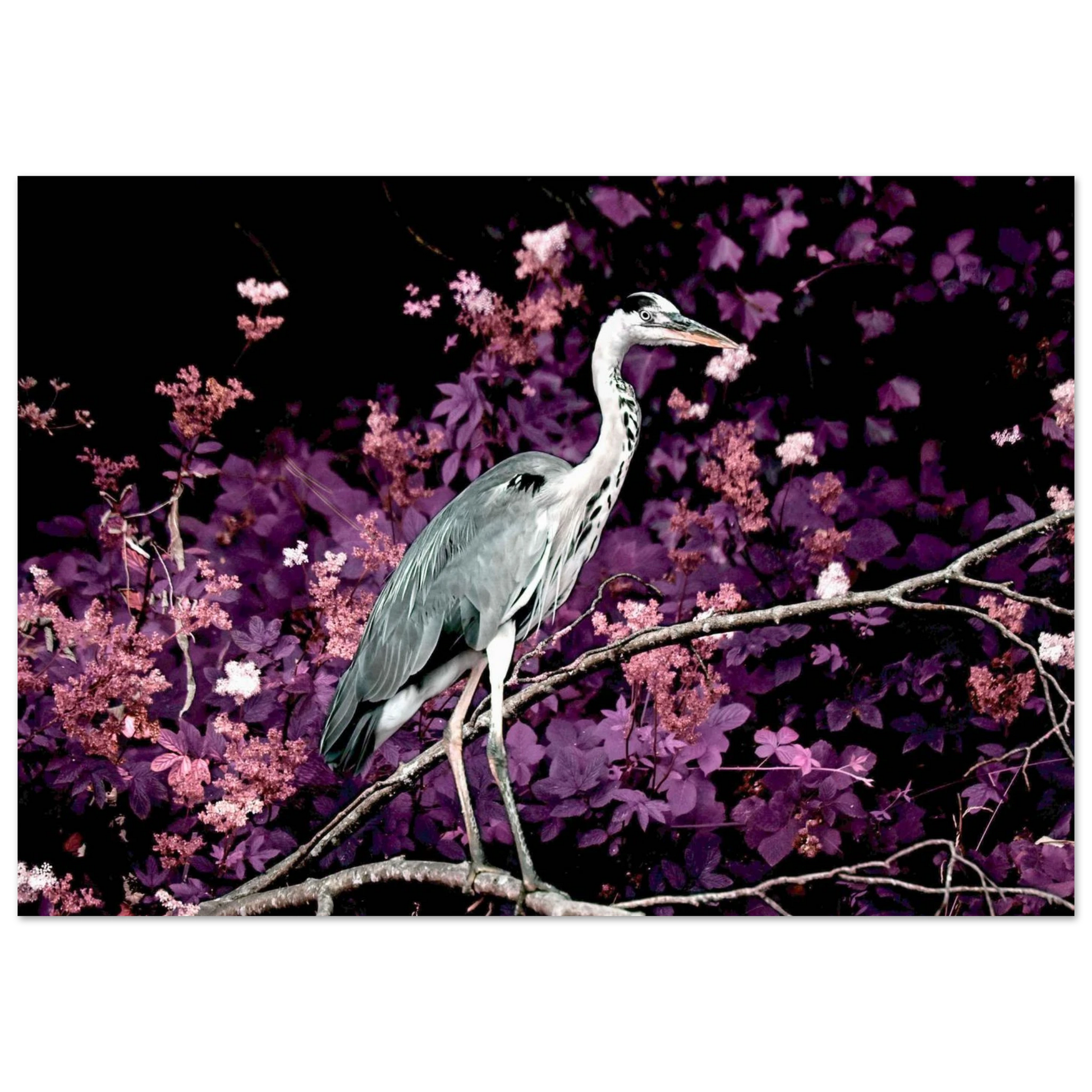 69e0babd-cfcc-4519-97c3-40080bc23bcb