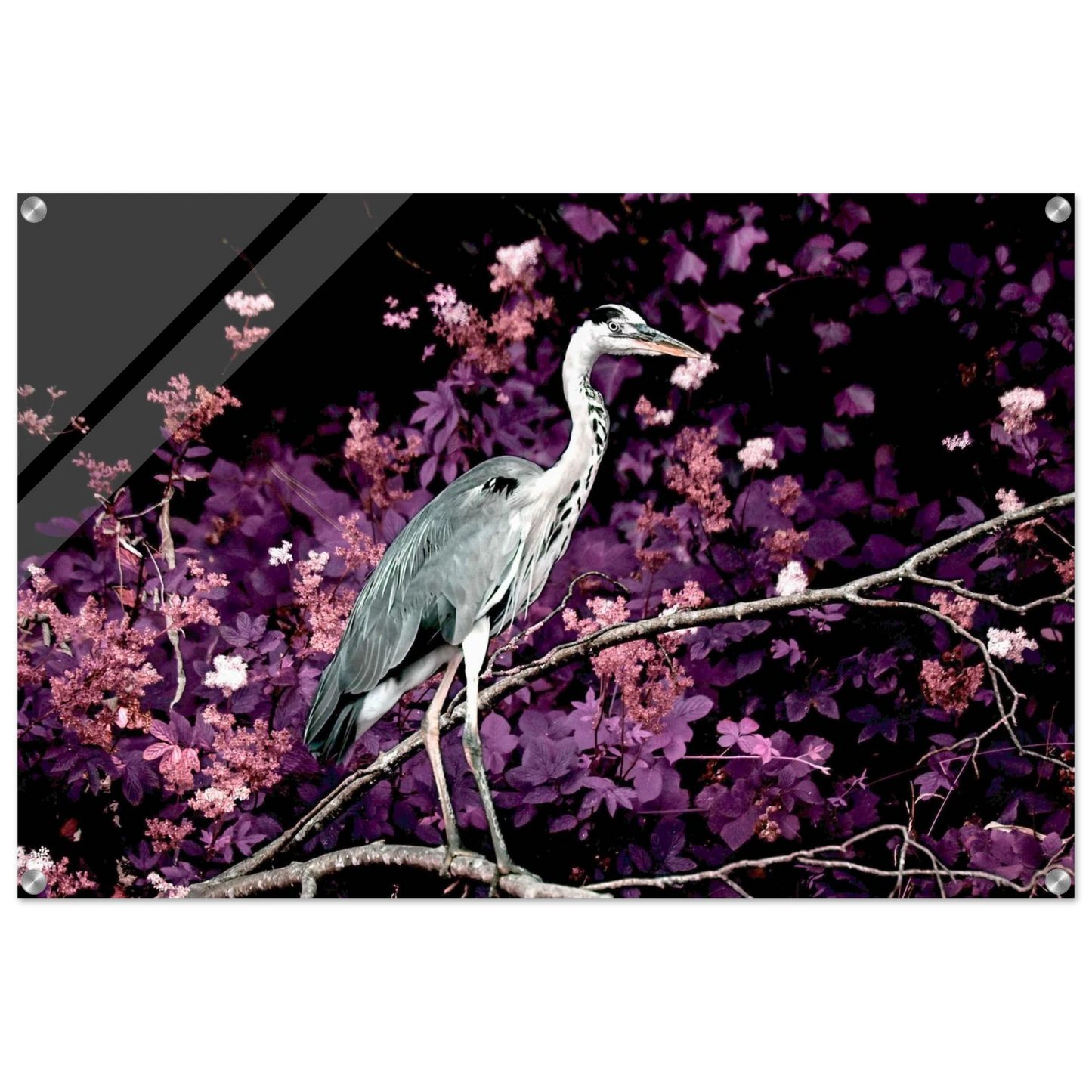 69ef9a5c-e5b9-4bd3-9f51-4f0c5f15b5dd