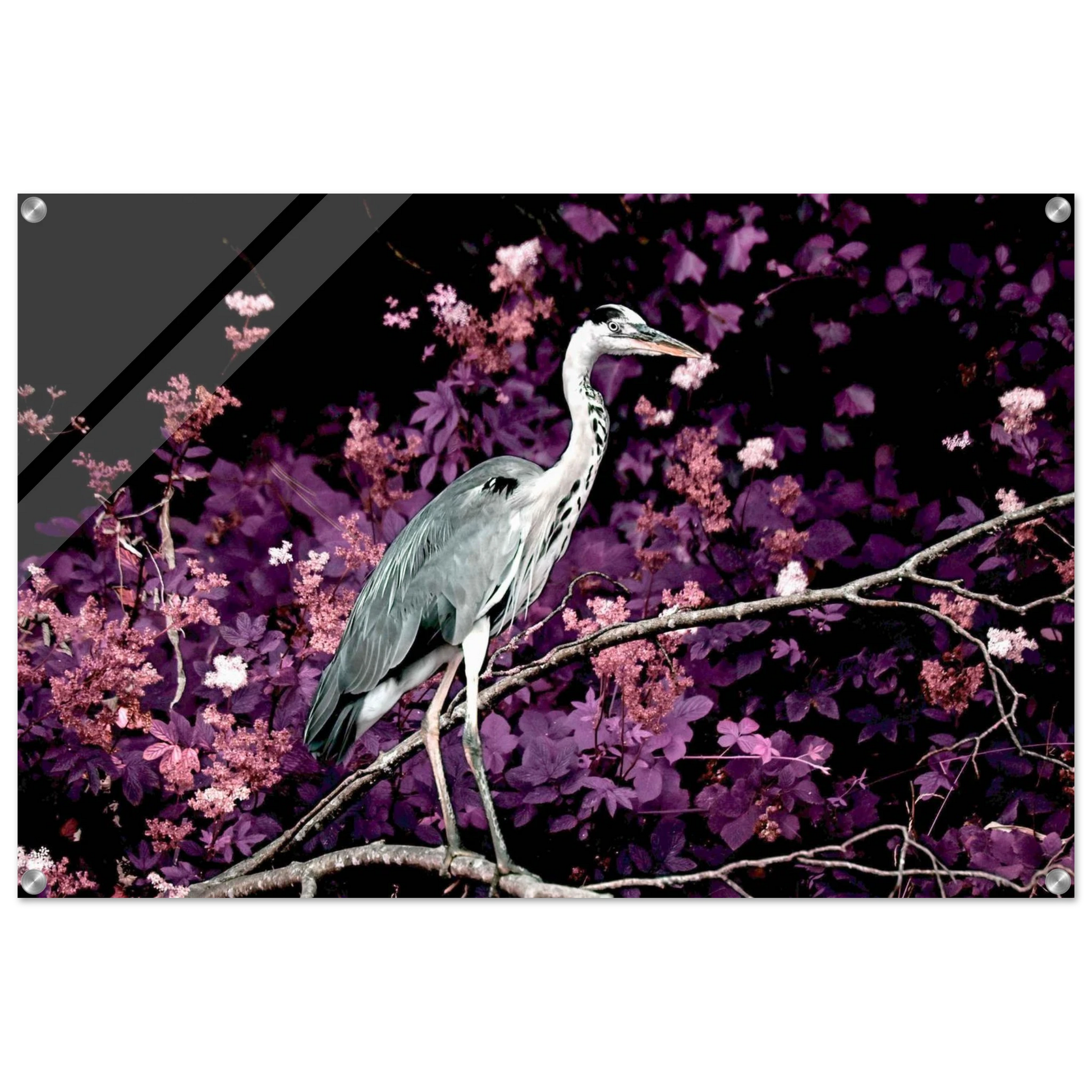 69ef9a5c-e5b9-4bd3-9f51-4f0c5f15b5dd