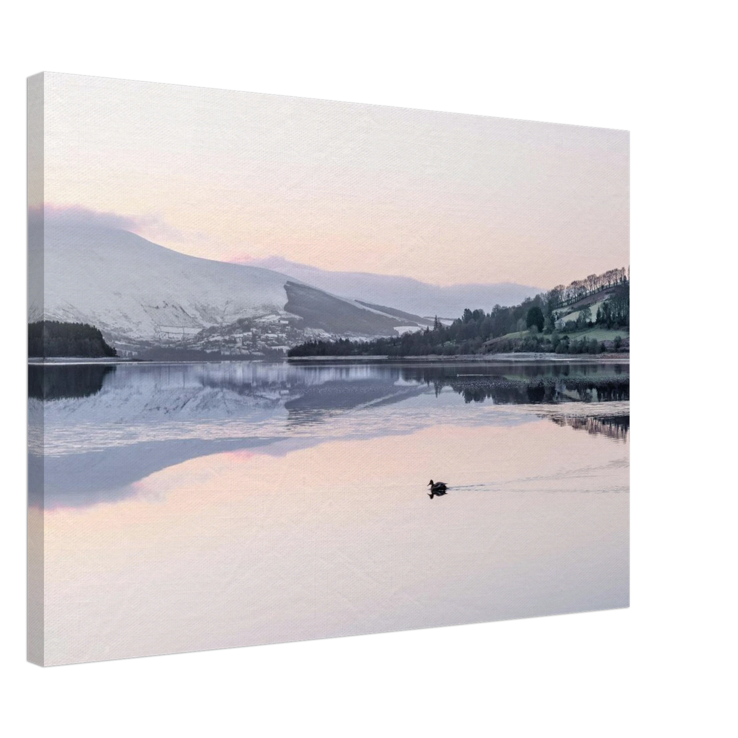 69fa7290-8c13-4d2c-ae1b-7ed03c2a763c