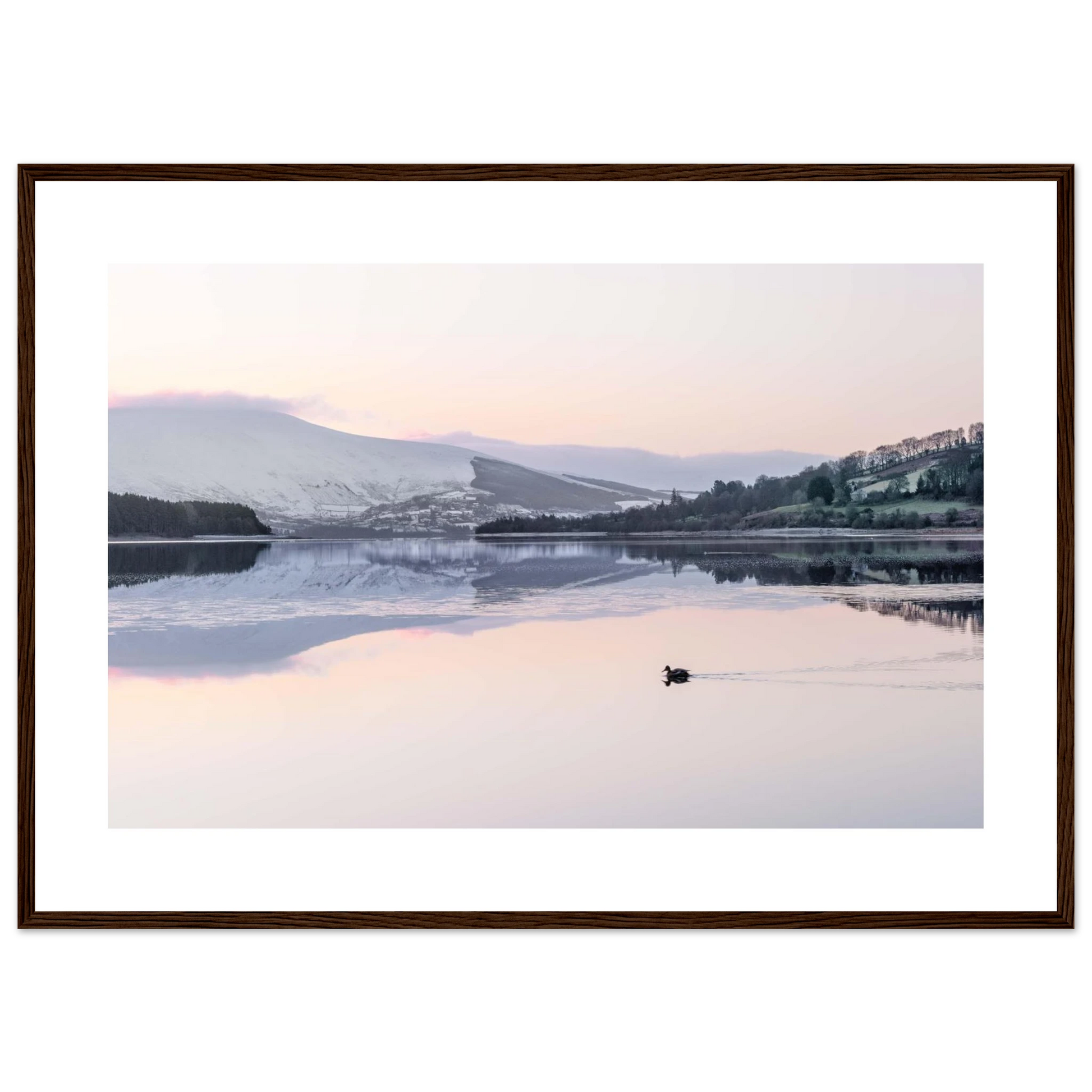 6a021c7c-0602-40d5-8b03-b97c04eae9d4