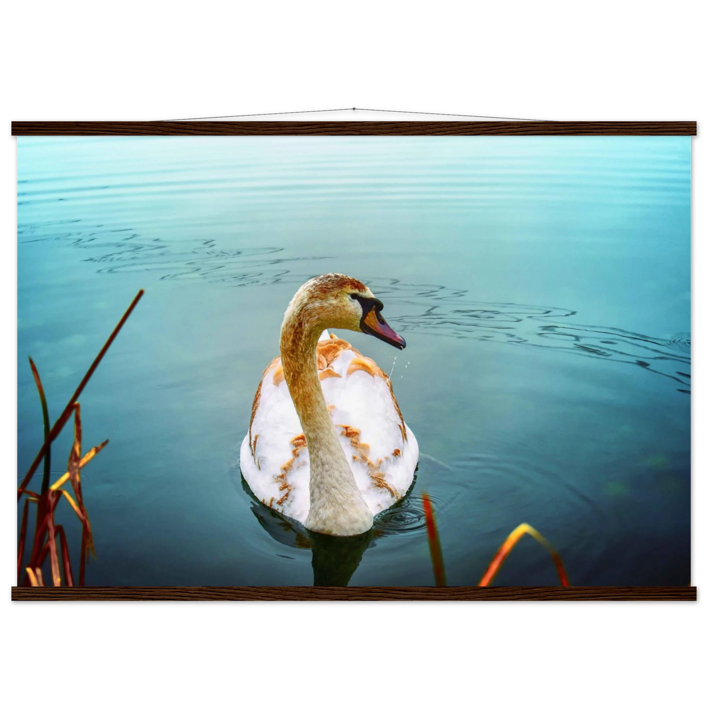 6a030271-c893-45c1-8109-74231d5b5560