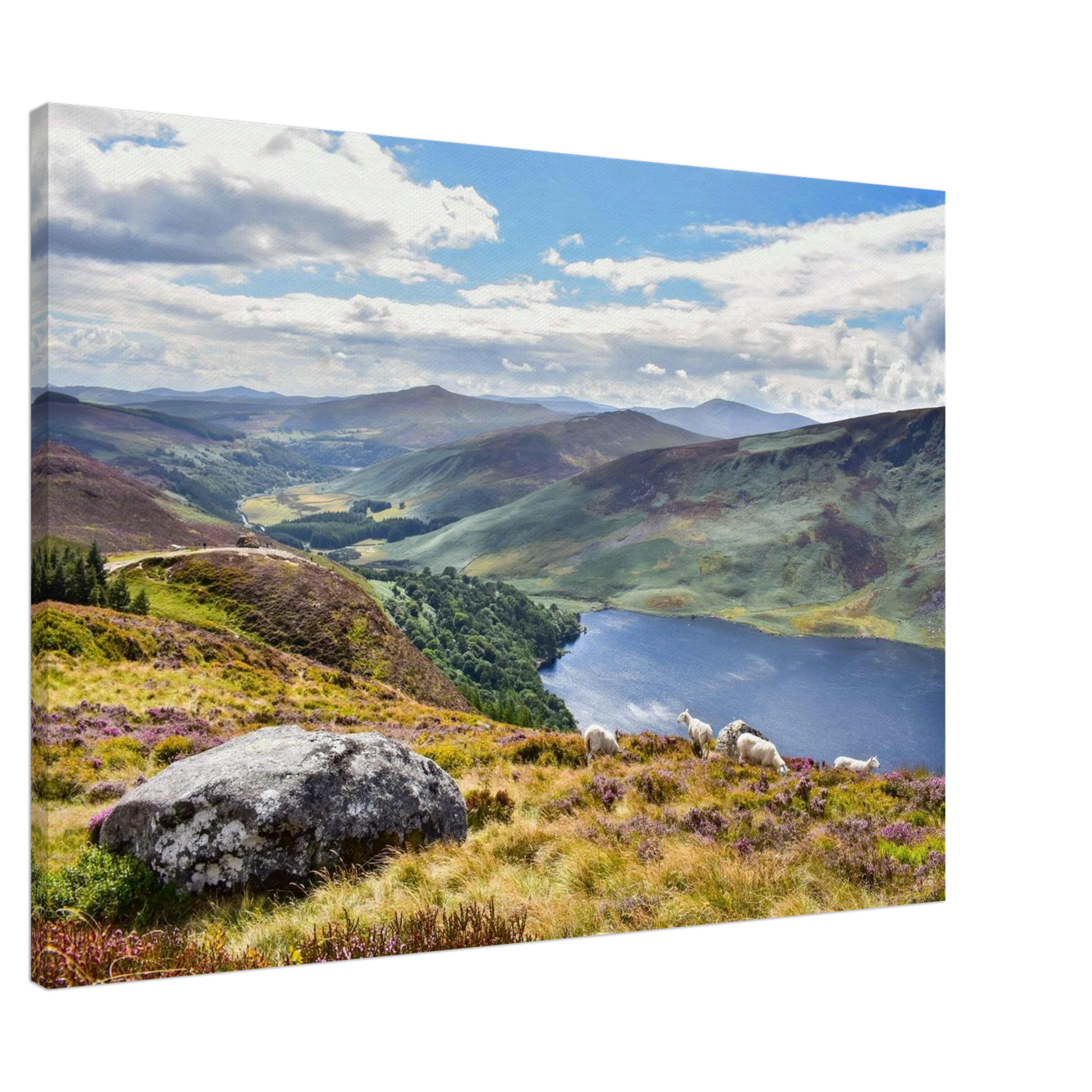 6a13bc45-0401-4e76-b4b0-885f409dc6be