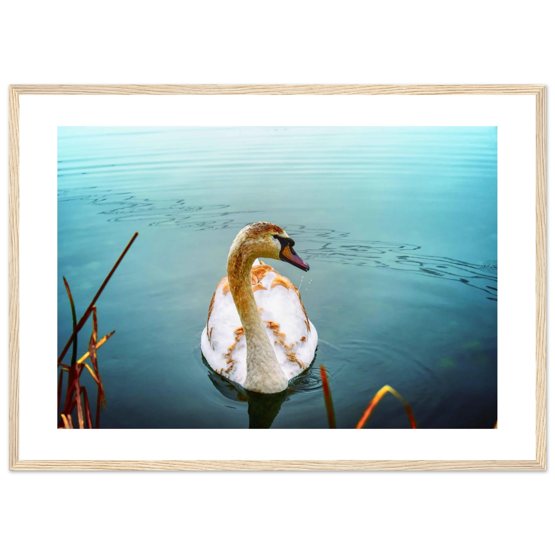 6a382574-85e1-4688-83c1-1c76d8697b80