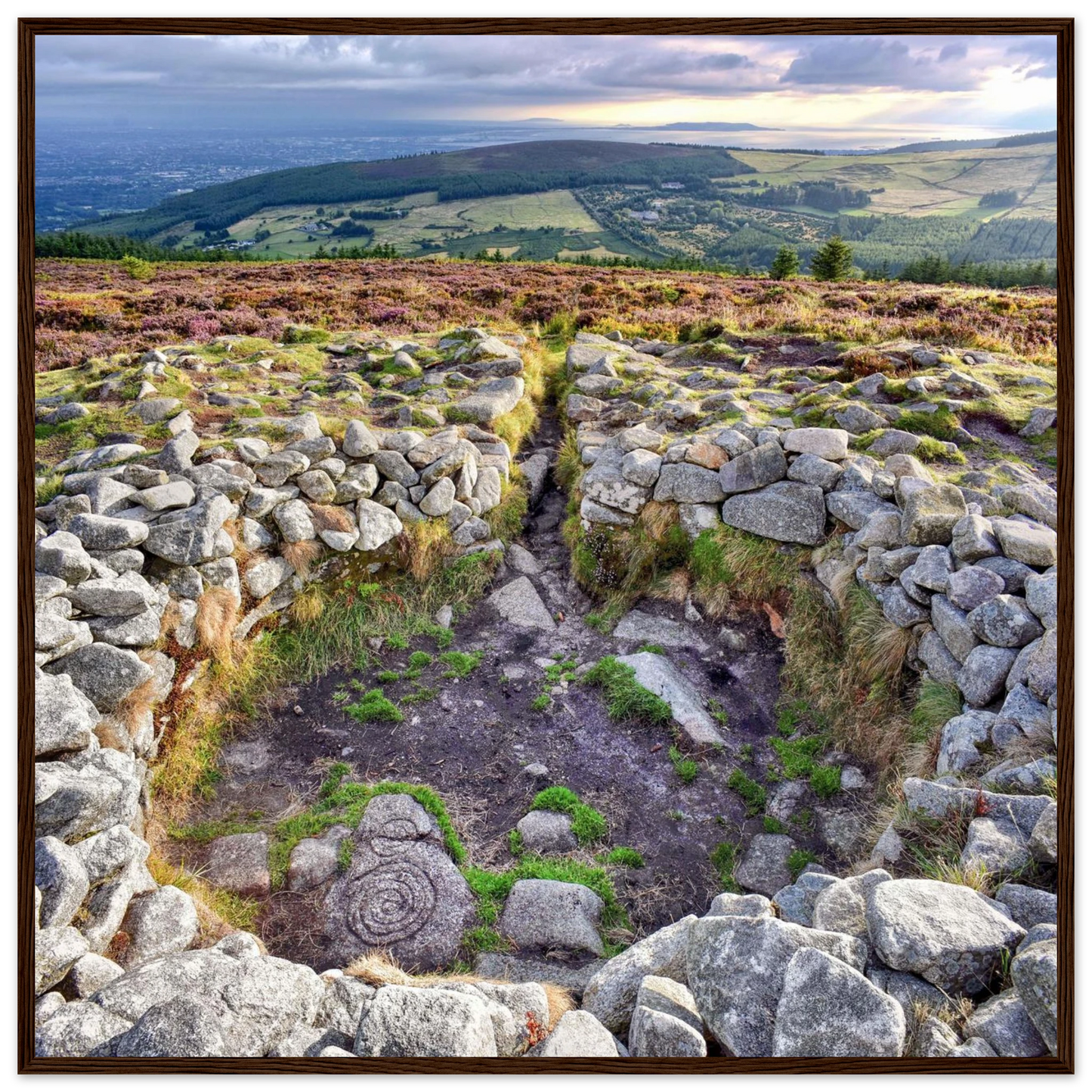 6aa811c7-3fc6-49f6-9dd4-dc7091b02b7e