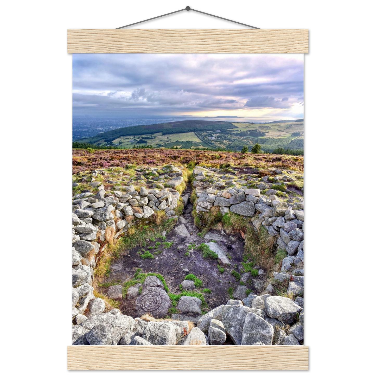 6b24cc0f-aaba-4c81-a4f8-4e85bae61923