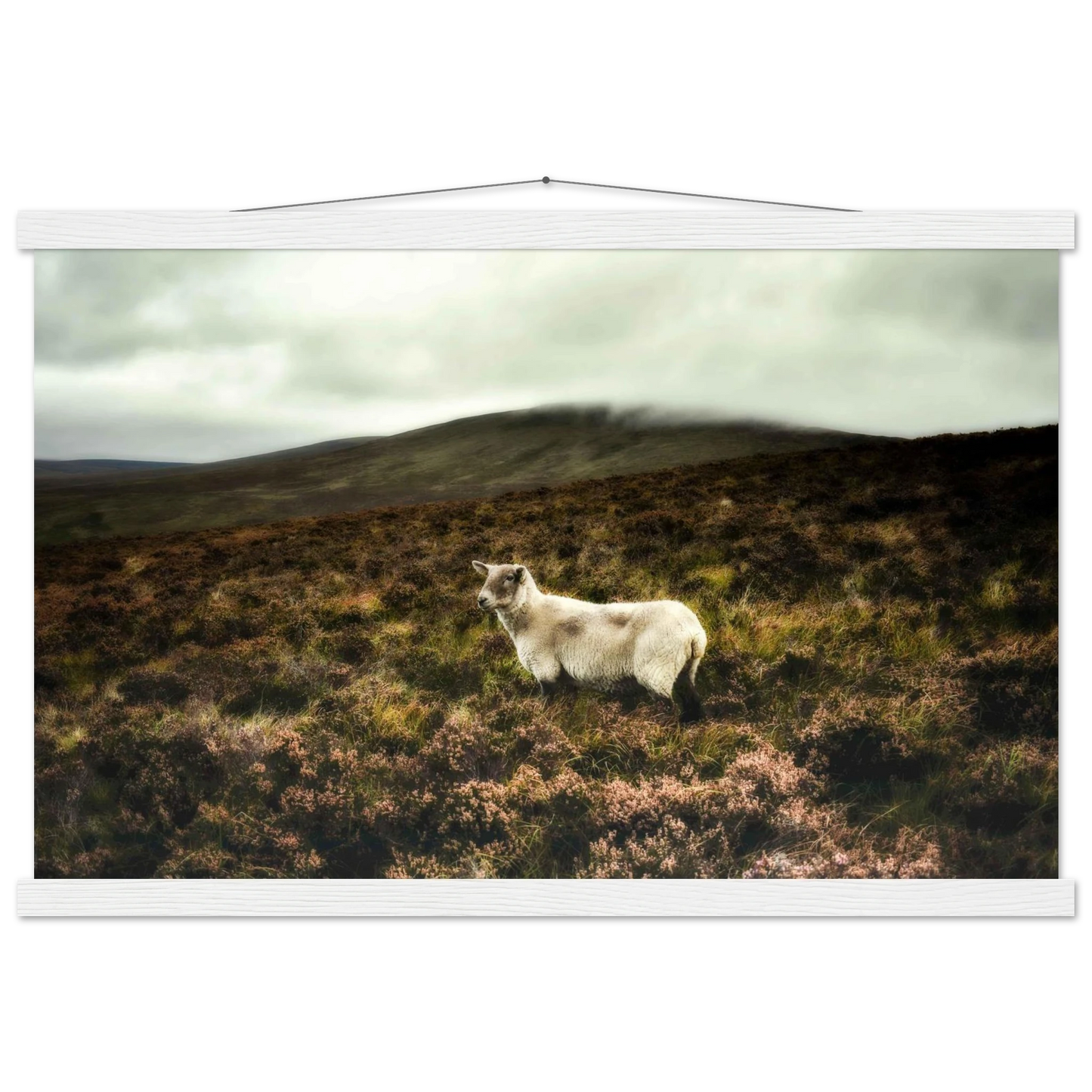 6b347008-24fe-4f40-836b-690cb29f8b56