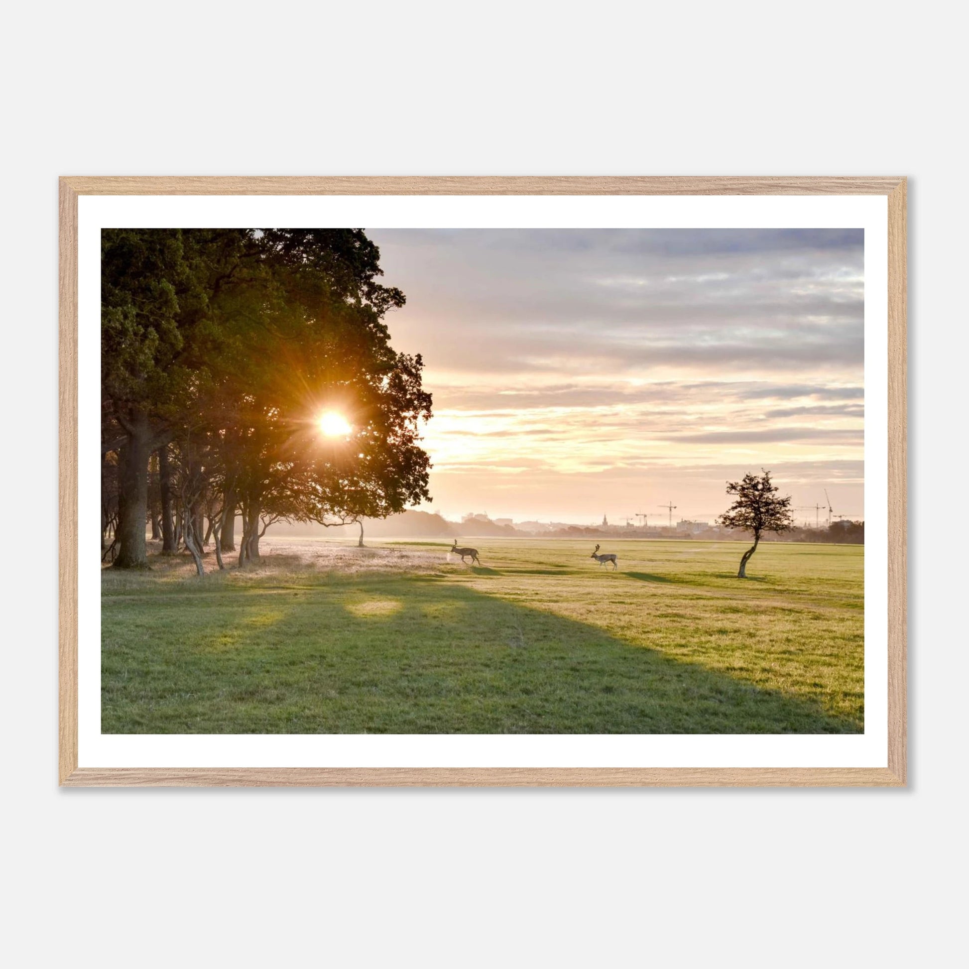 6bbc37a6-af7a-4993-bc4d-204ef3b6c879