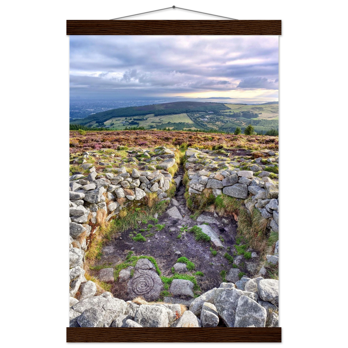 6bc607f6-5361-487d-b656-5245a4b77260