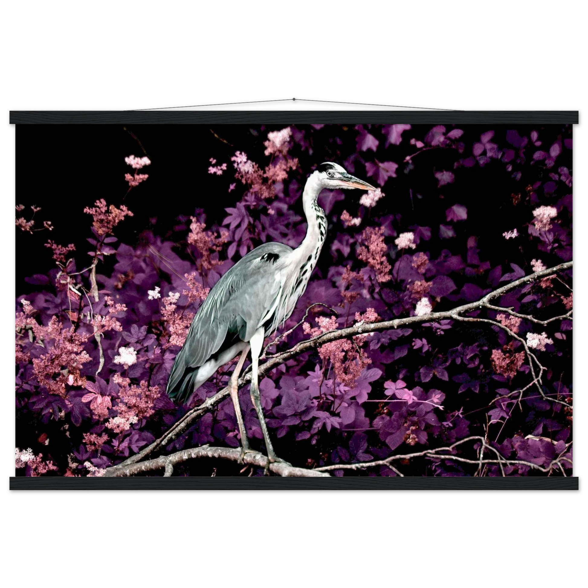 6c023472-d4d5-4610-a845-a4d2bc61a63f