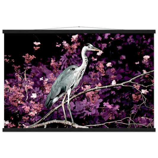 6c023472-d4d5-4610-a845-a4d2bc61a63f