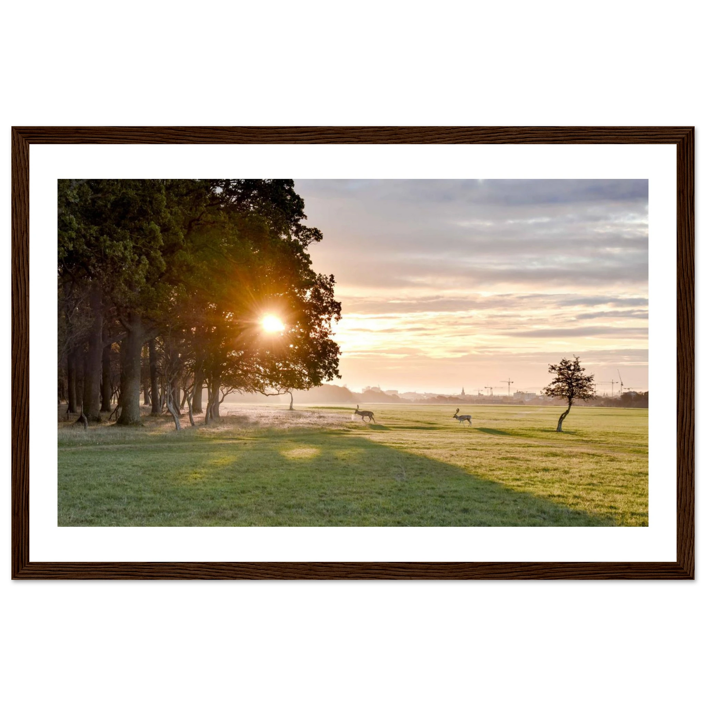 6c23dd42-cdfa-4b76-a4c3-739b05d87b08