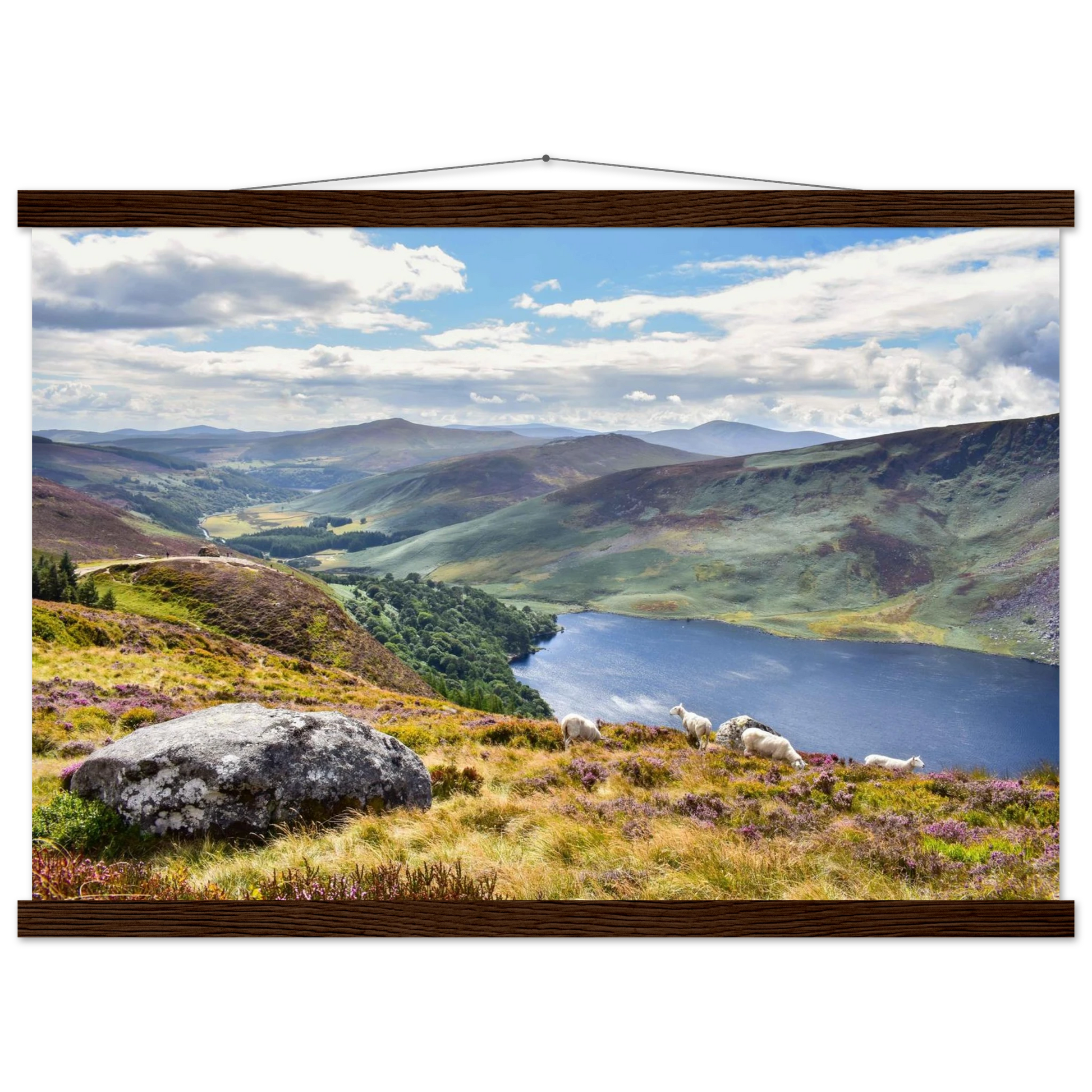 6c26544b-f175-4e73-b8f8-a2ca64744bc6