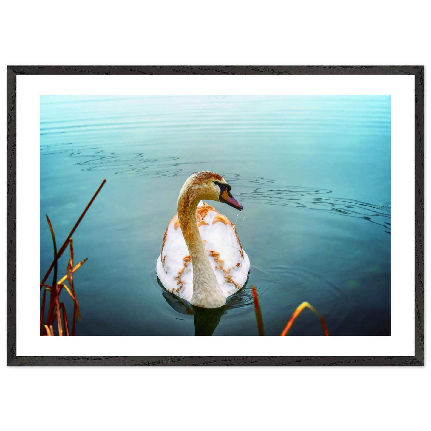 6c55b7a5-521b-45b4-ba79-38a8b017ff2a