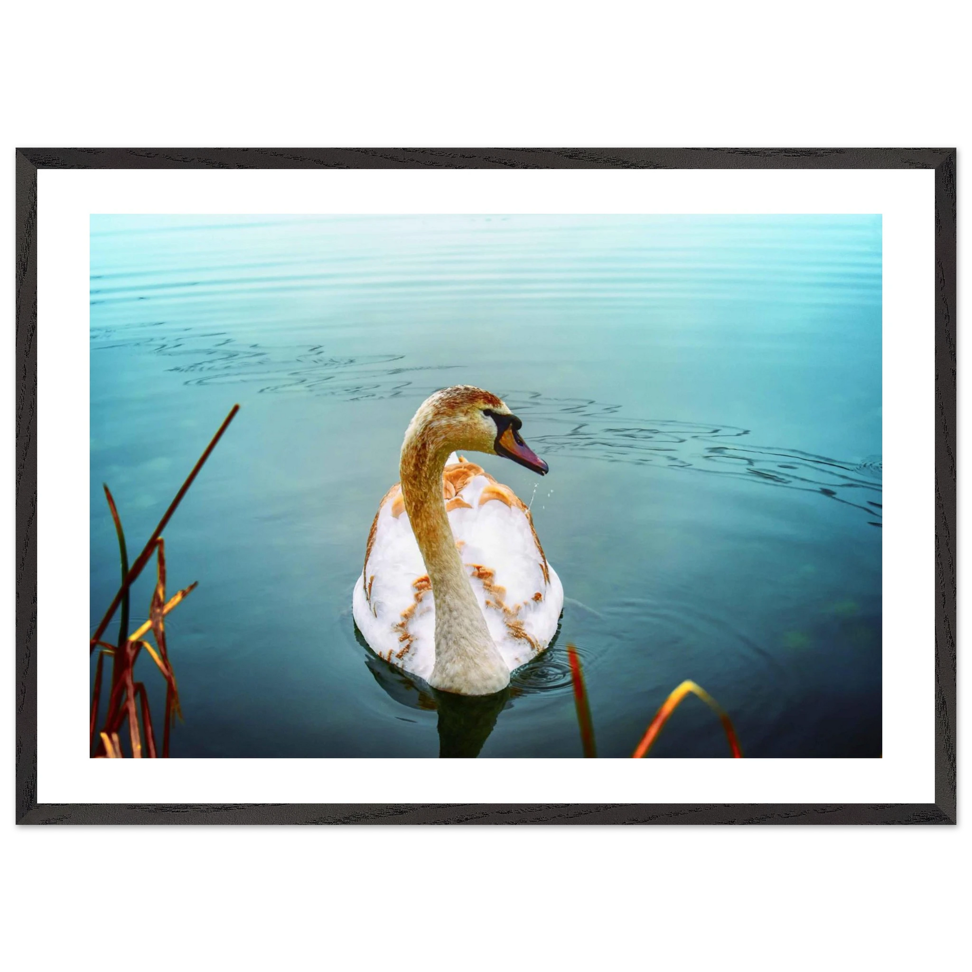 6c55b7a5-521b-45b4-ba79-38a8b017ff2a