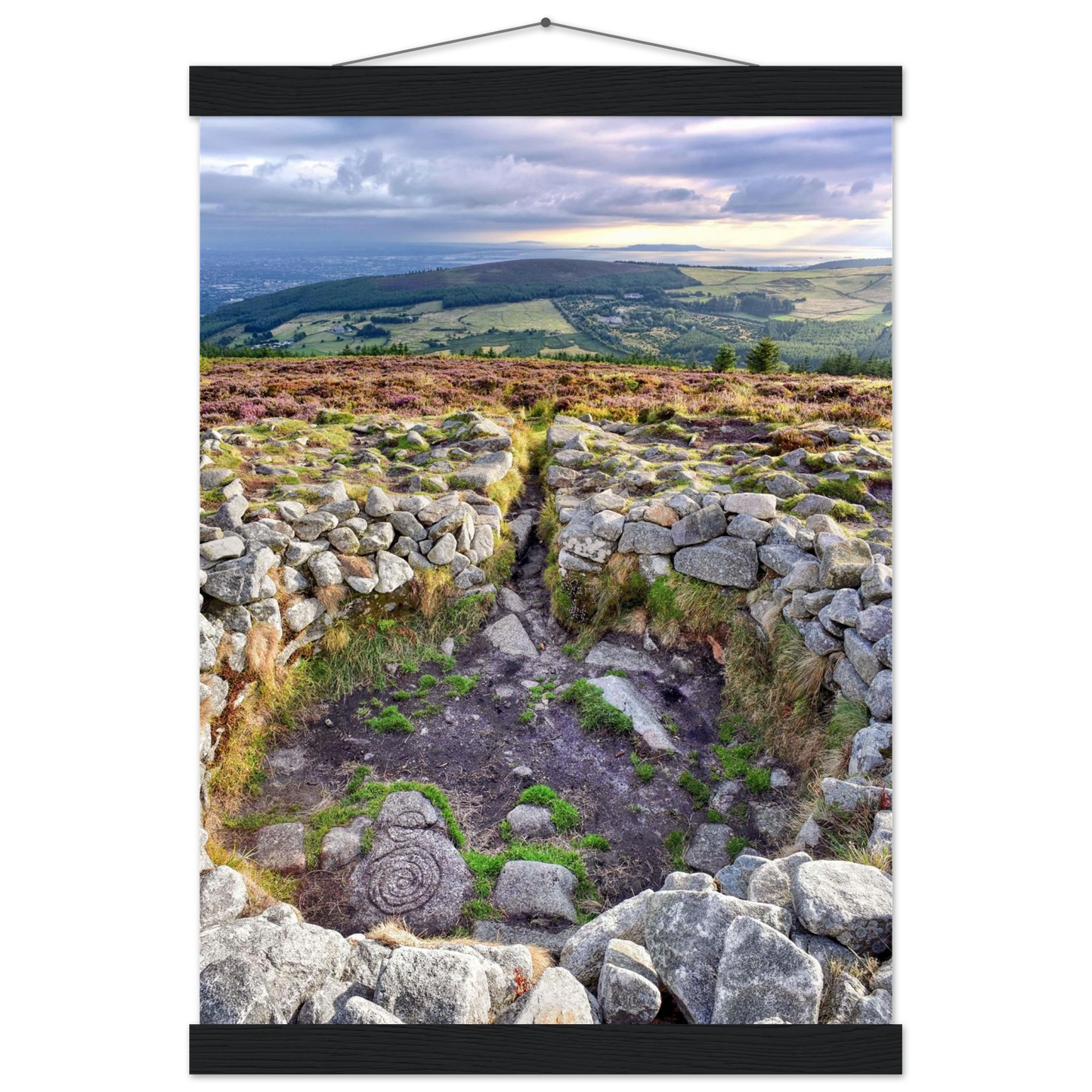 6cb7ab05-f253-46b2-b5fc-b2b09fdb75fd