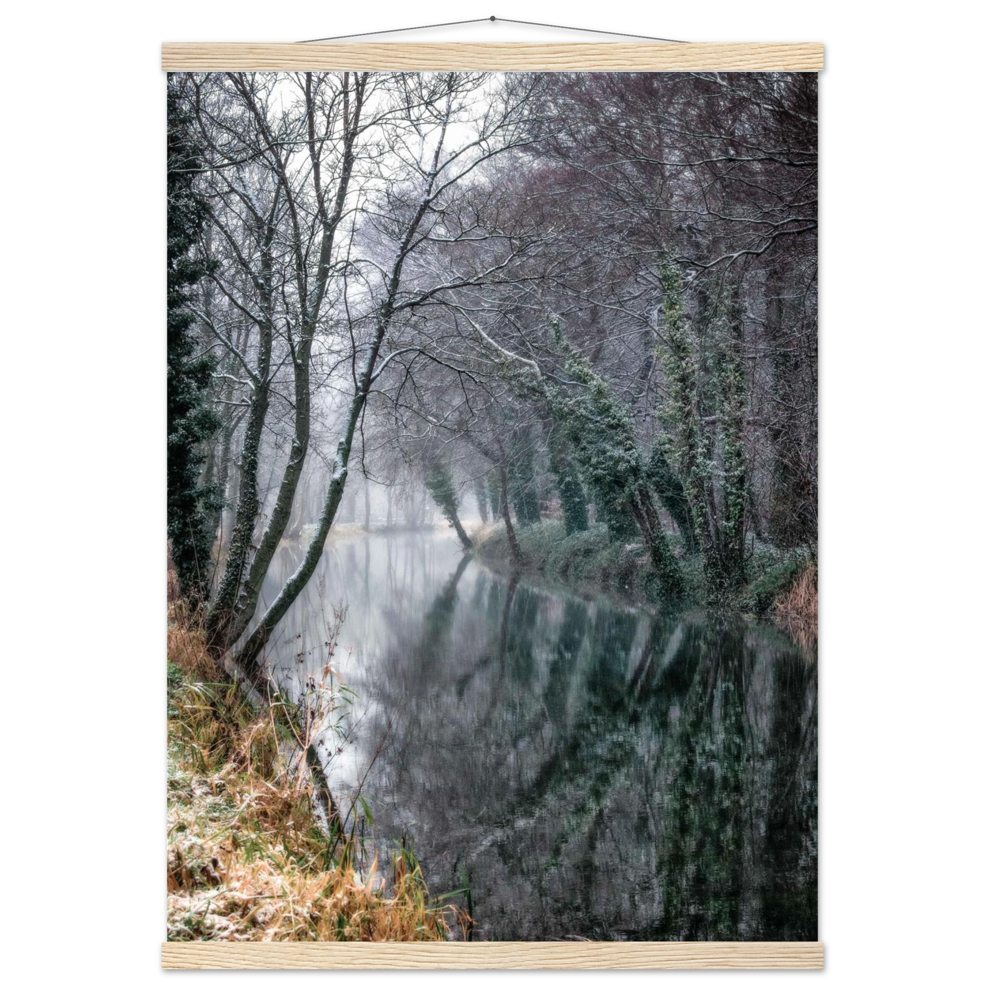 6ccd805c-8e03-45bb-b32a-3a2df66faae2