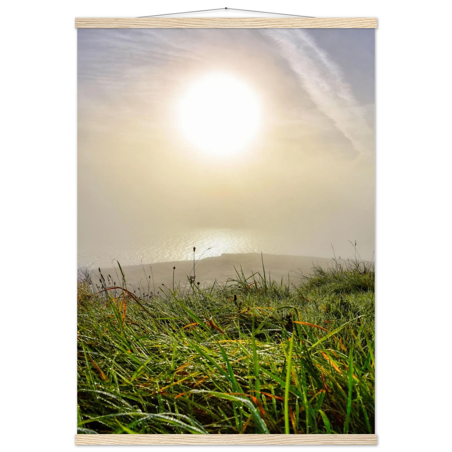 6cd026bf-0974-47b7-be72-8e34bf20a761