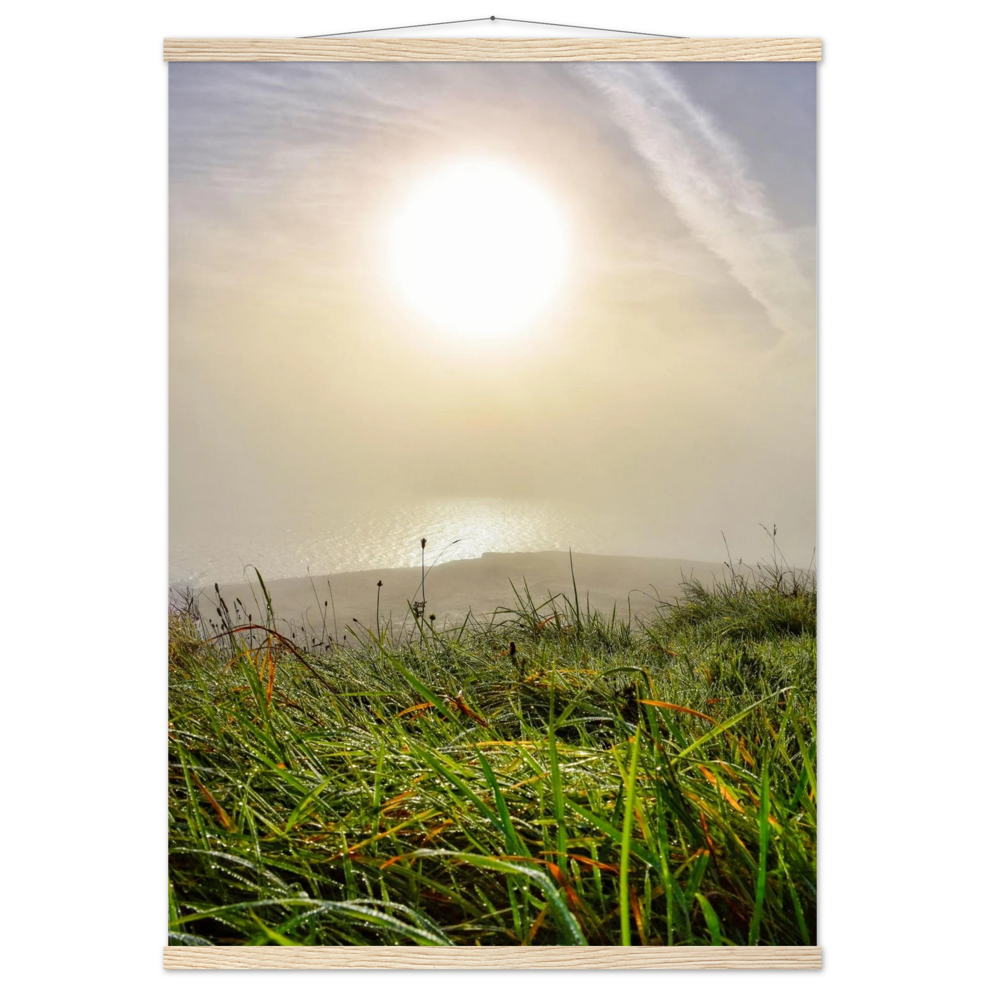 6cd026bf-0974-47b7-be72-8e34bf20a761