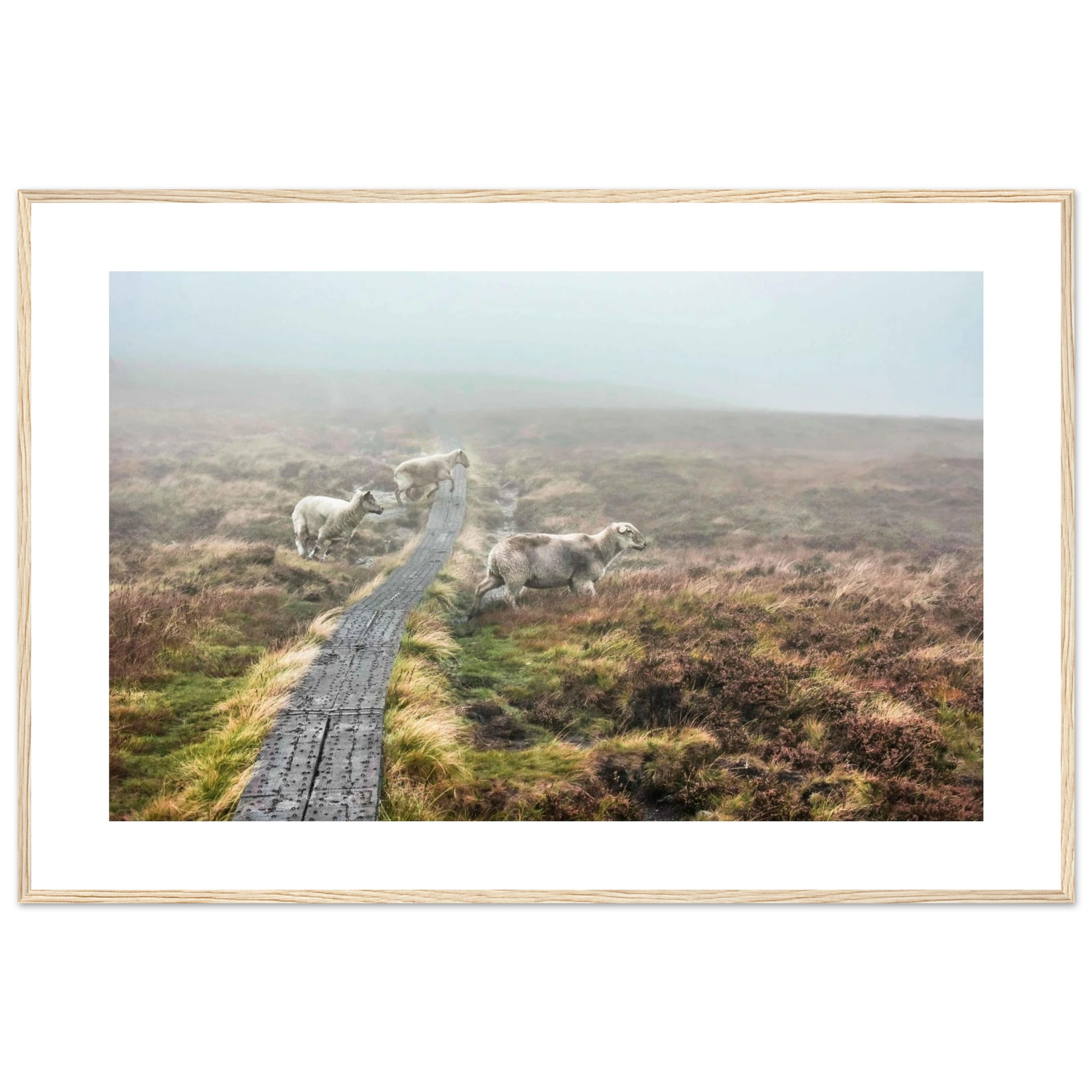 6d176624-bb86-44ff-8fc2-83bed91233f6