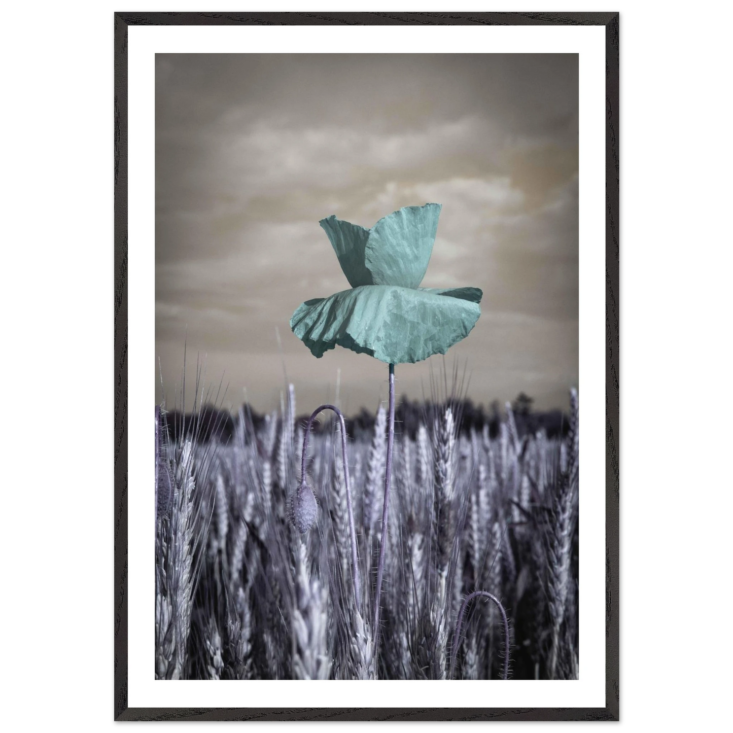 6d86462c-9e18-478e-b94e-8866022bfca2