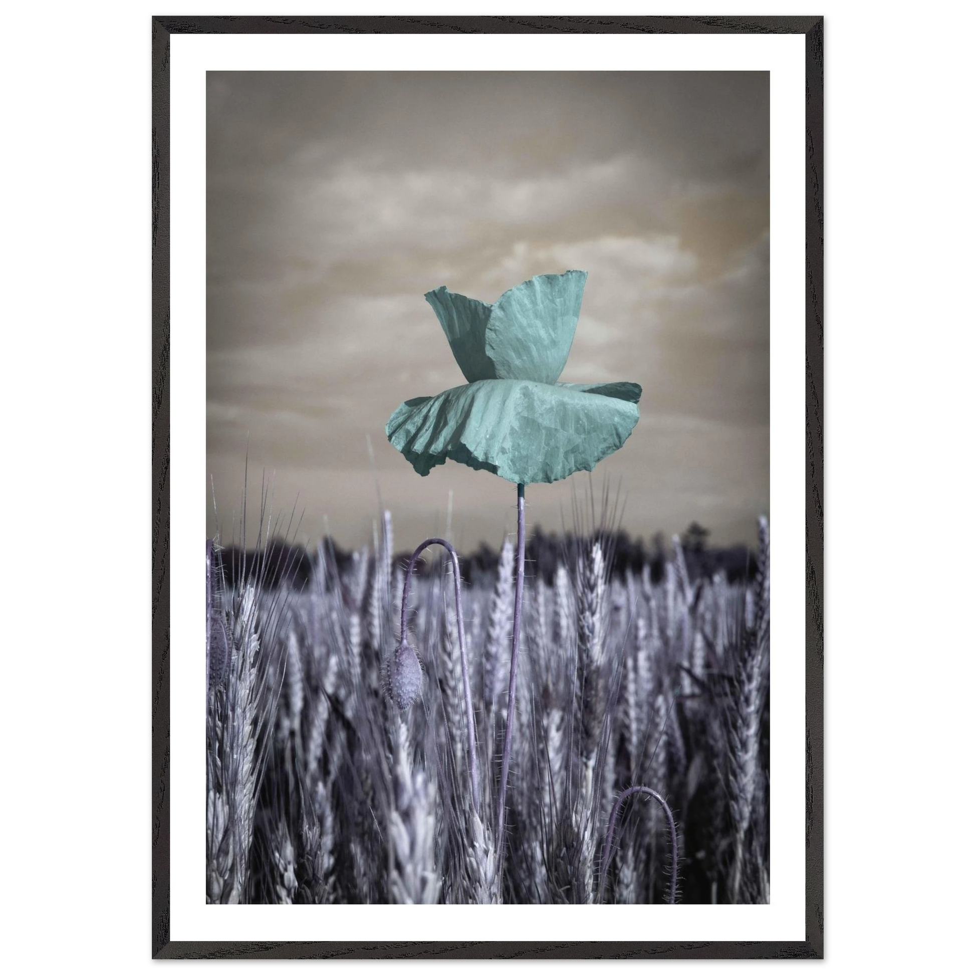 6d86462c-9e18-478e-b94e-8866022bfca2